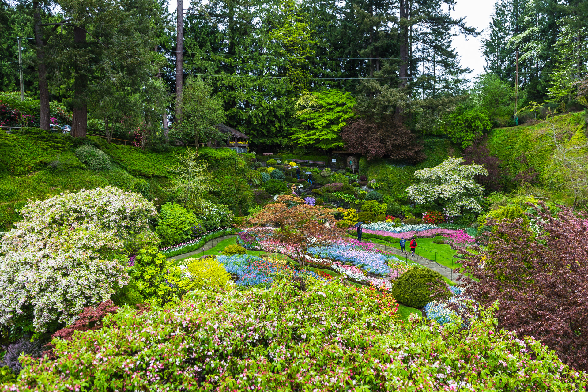 A Beautiful Rainy Day At The Butchart Gardens