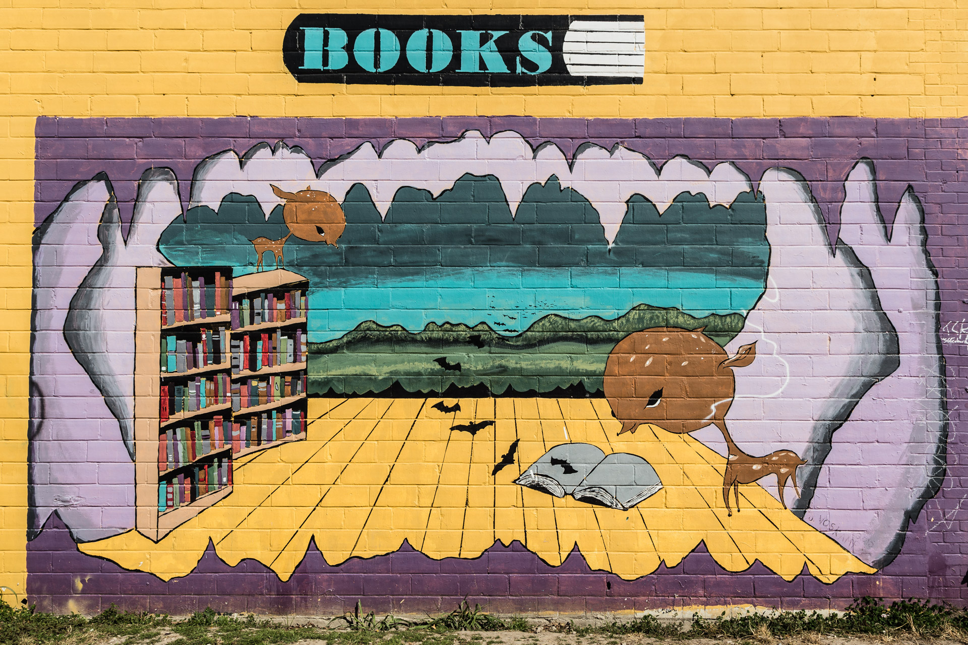 Austin Street Art (books)