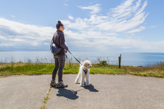Epic Views At Fort Ebey On Whidbey Island
