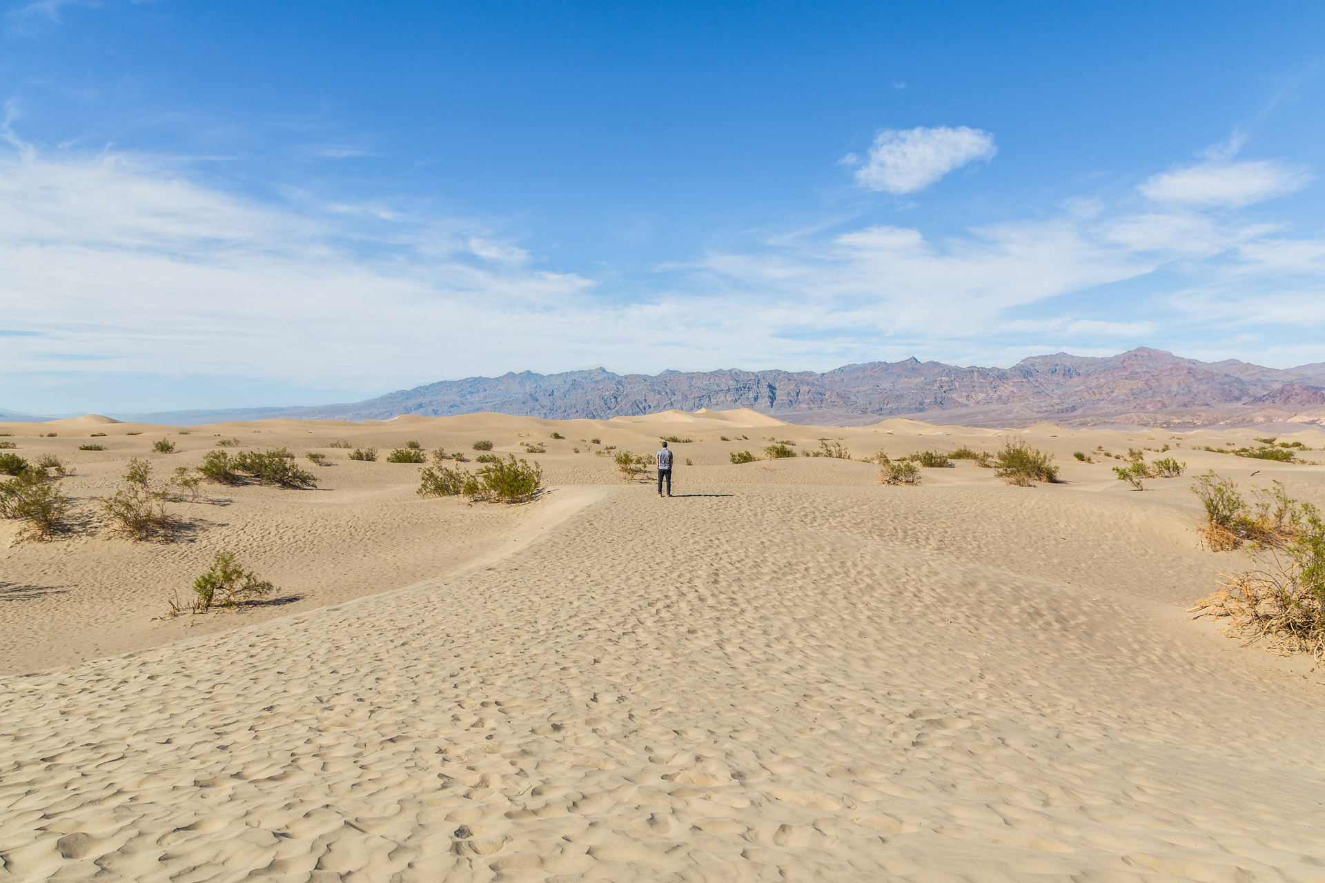 Extreme Death Valley (10)