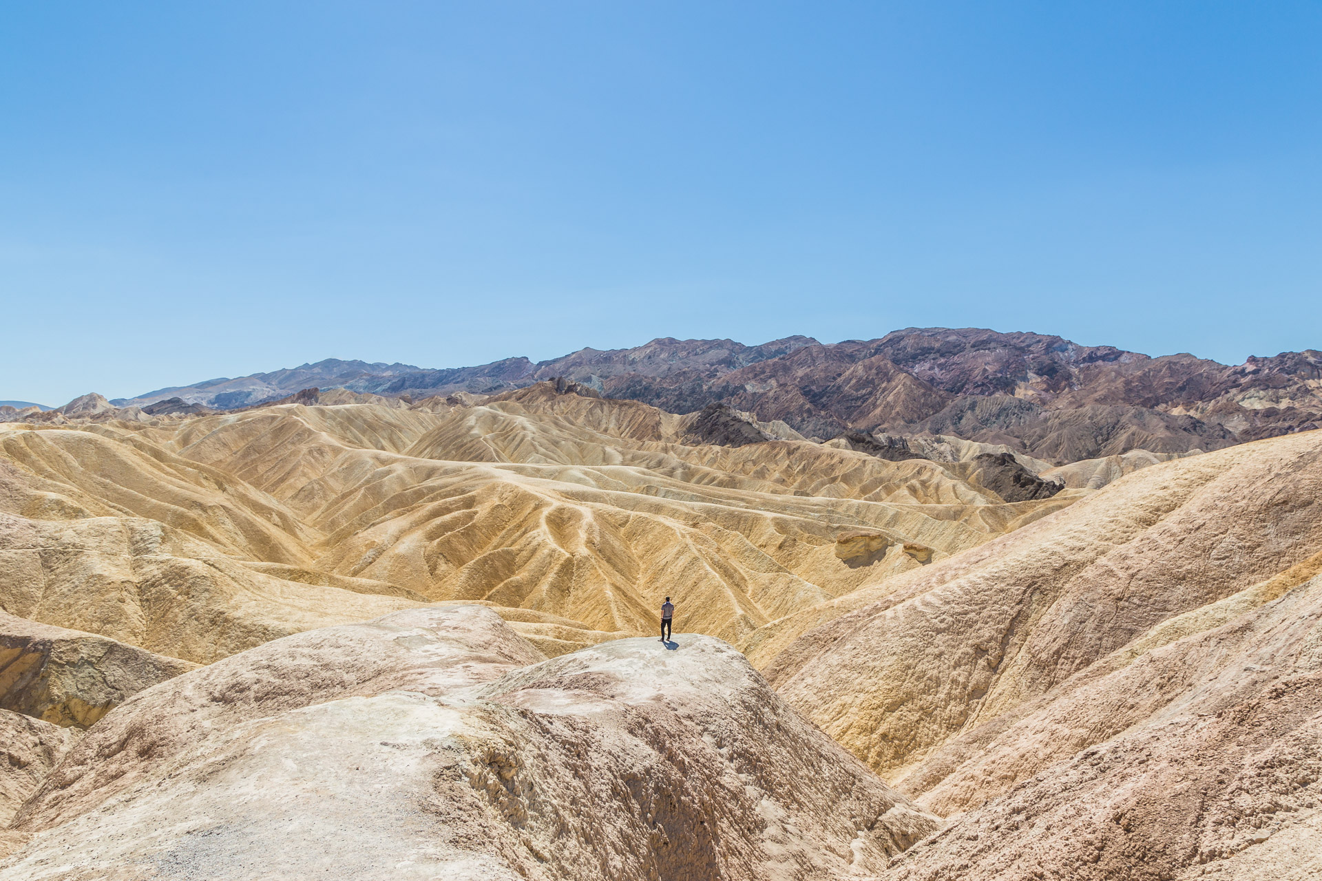 Extreme Death Valley (7)