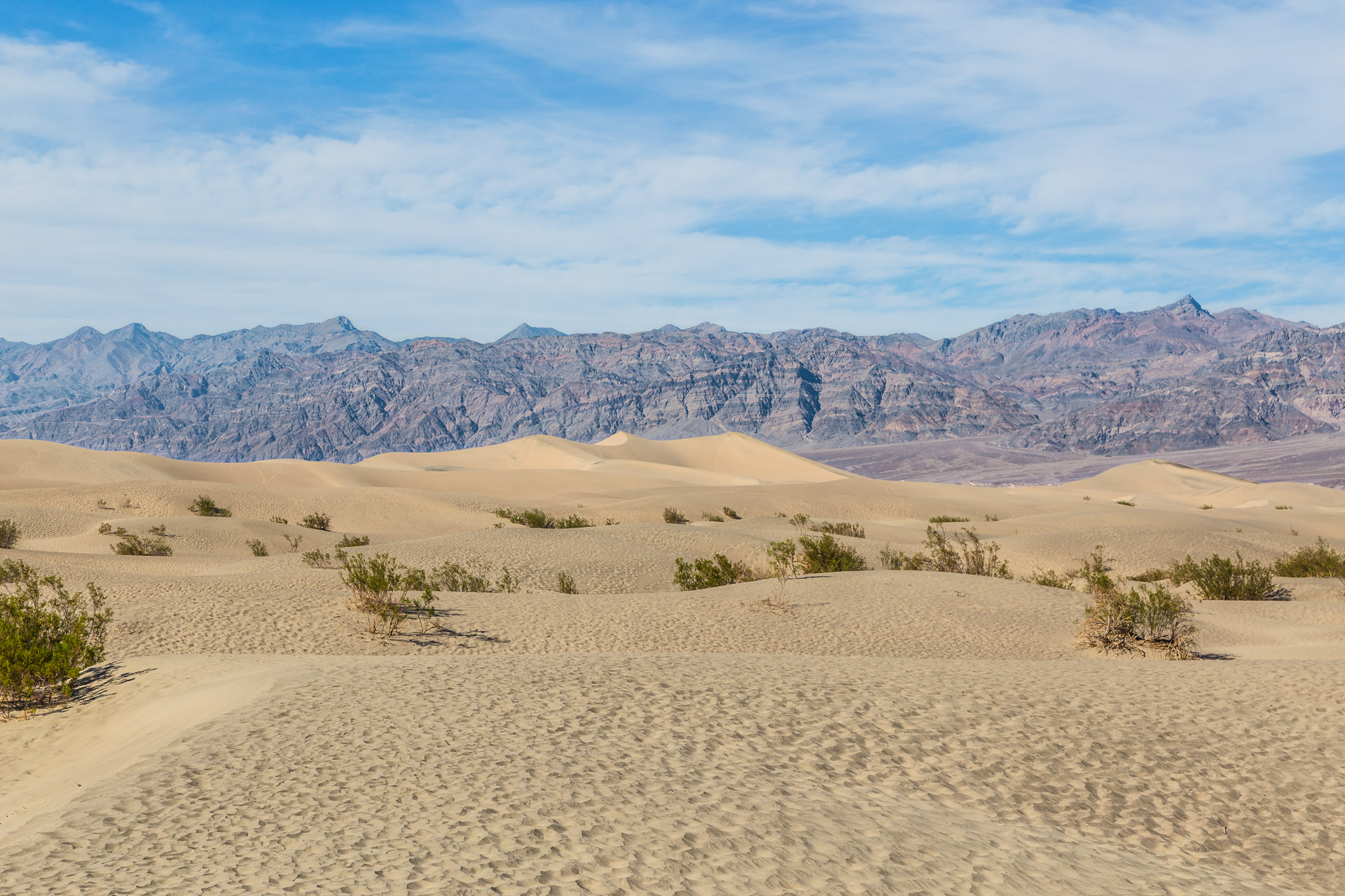 Extreme Death Valley (8)