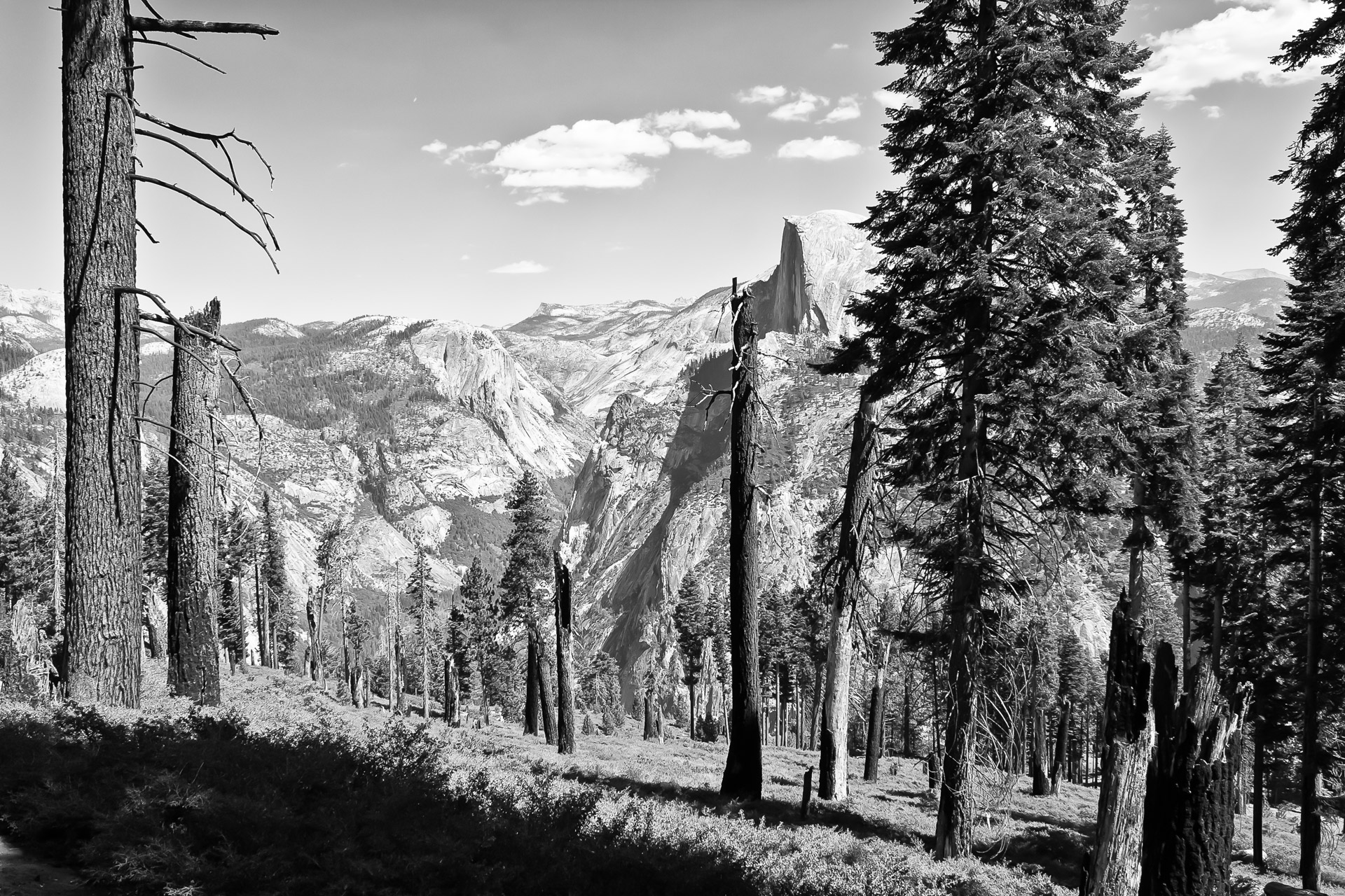Yosemite BW (12A)