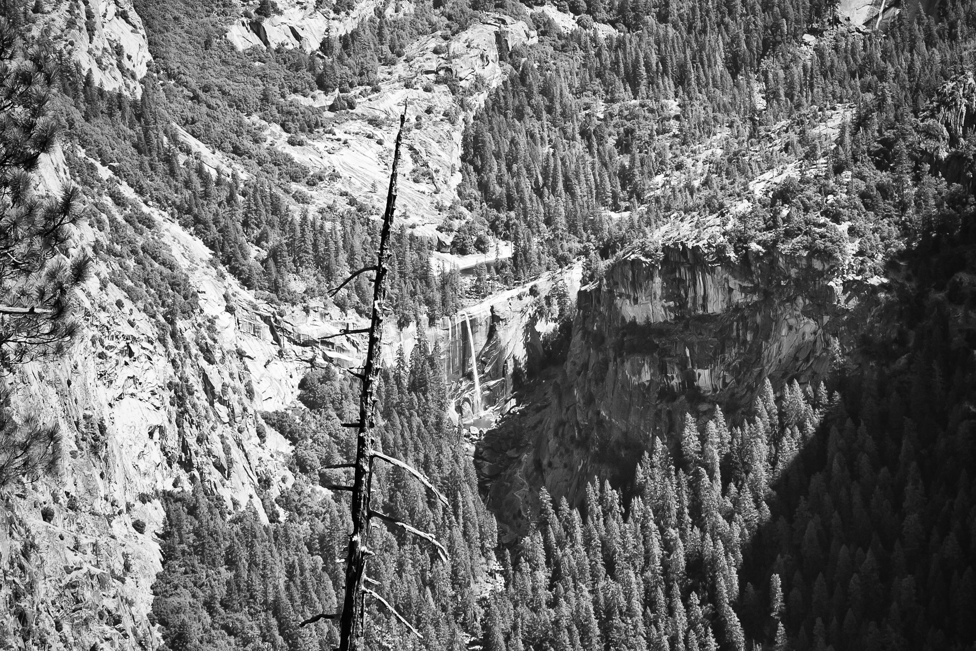 Yosemite BW (14A)