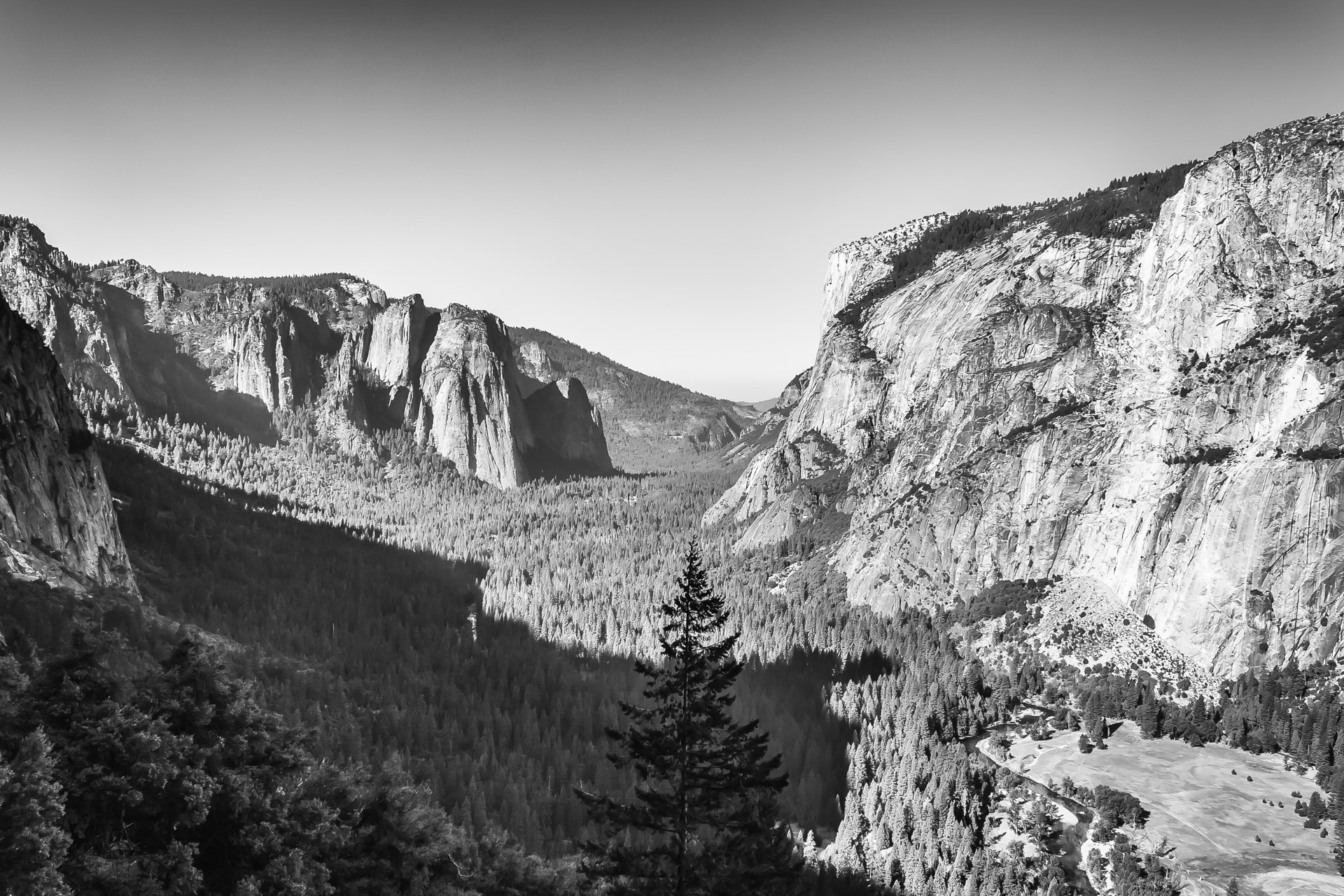 Yosemite BW (5)