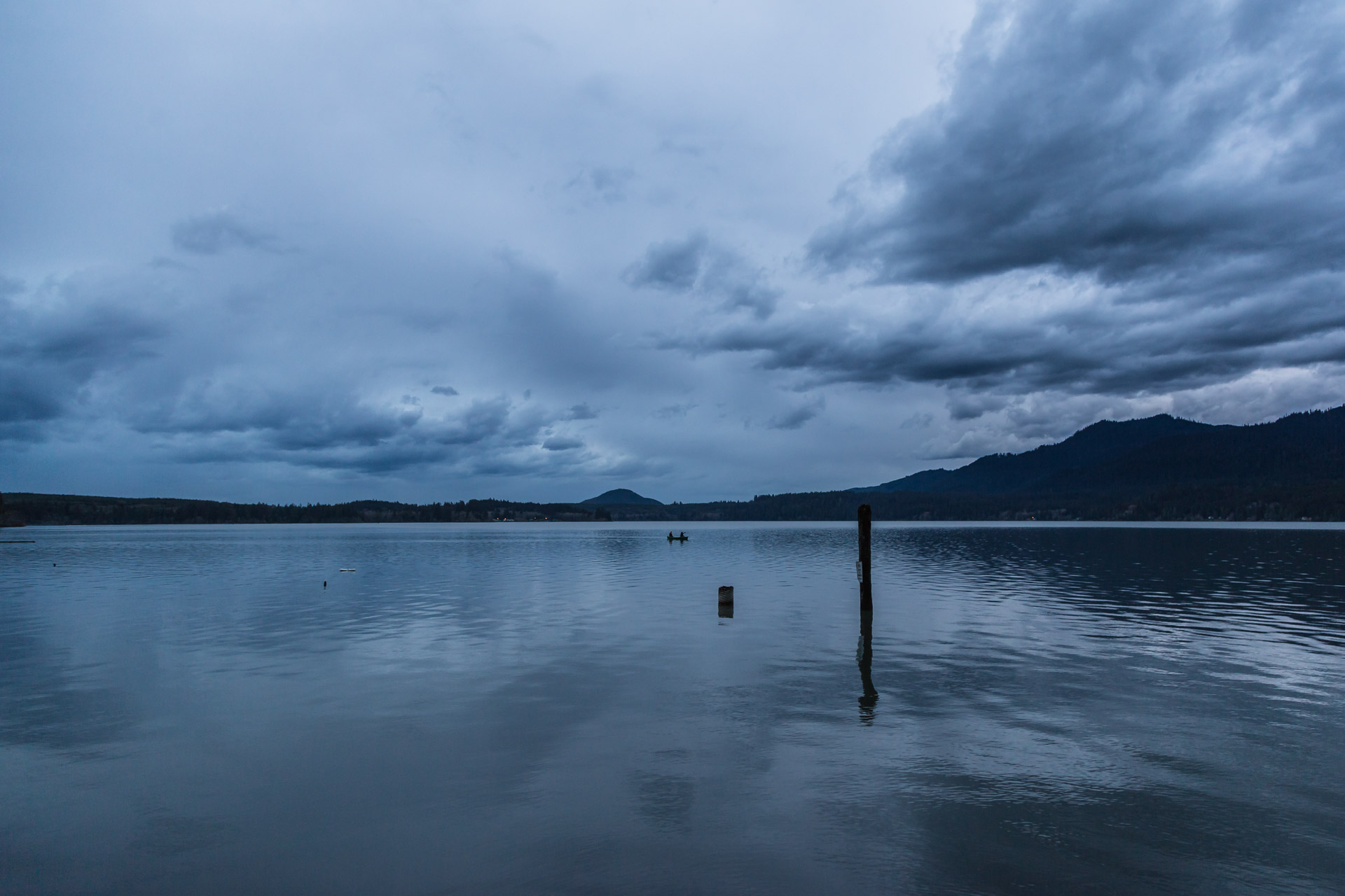 Lake Quinault (lake close)