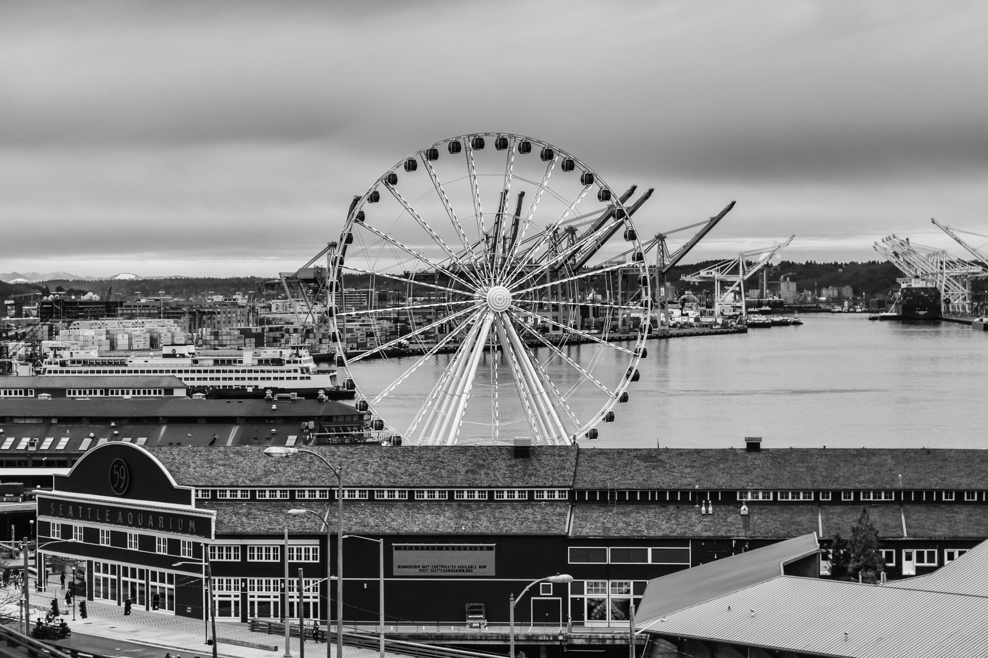 Seattle Black And White (6)