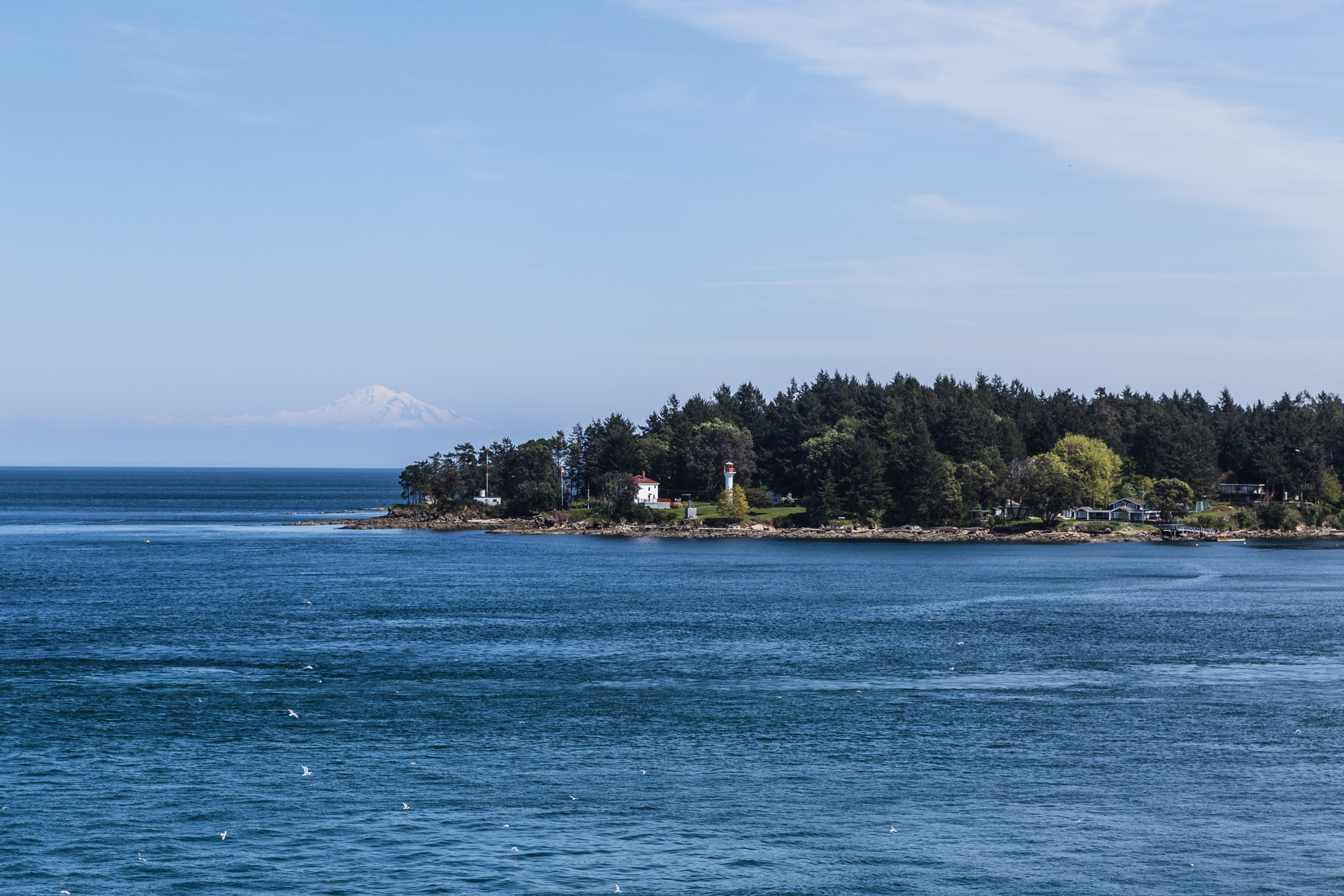 BC Ferry Victoria (1)