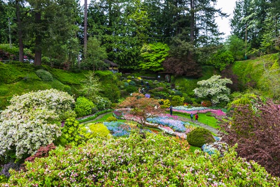 A Beautiful Rainy Day At The Butchart Gardens