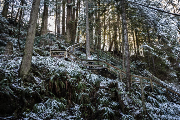 A Light Dusting Of Snow At Lynn Canyon Park