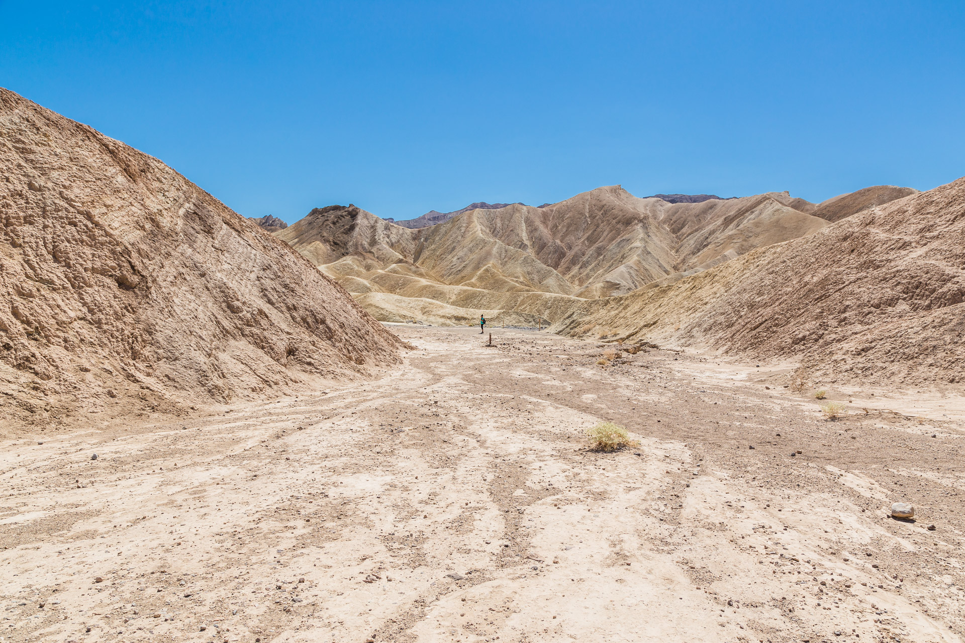 Badlands Loop (7)