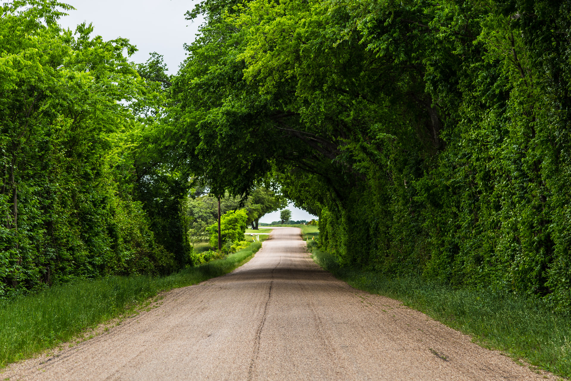 All It Takes Is A Pretty Road