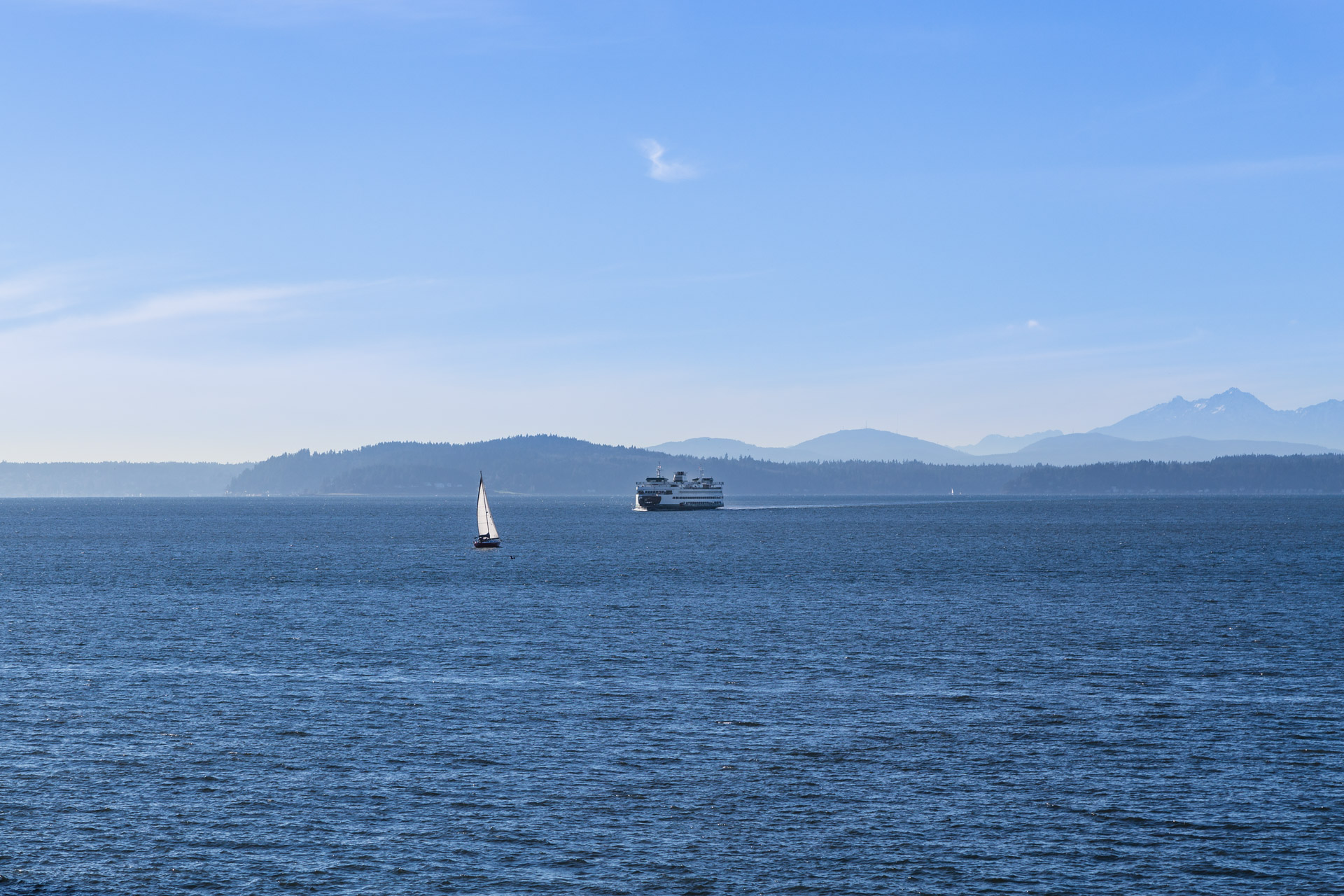 Olympic Sculpture Park (ferry 2)