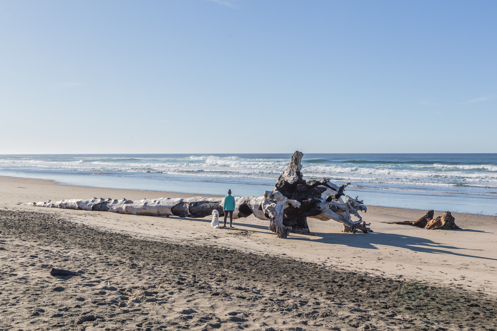 Cape Kiwanda (14)