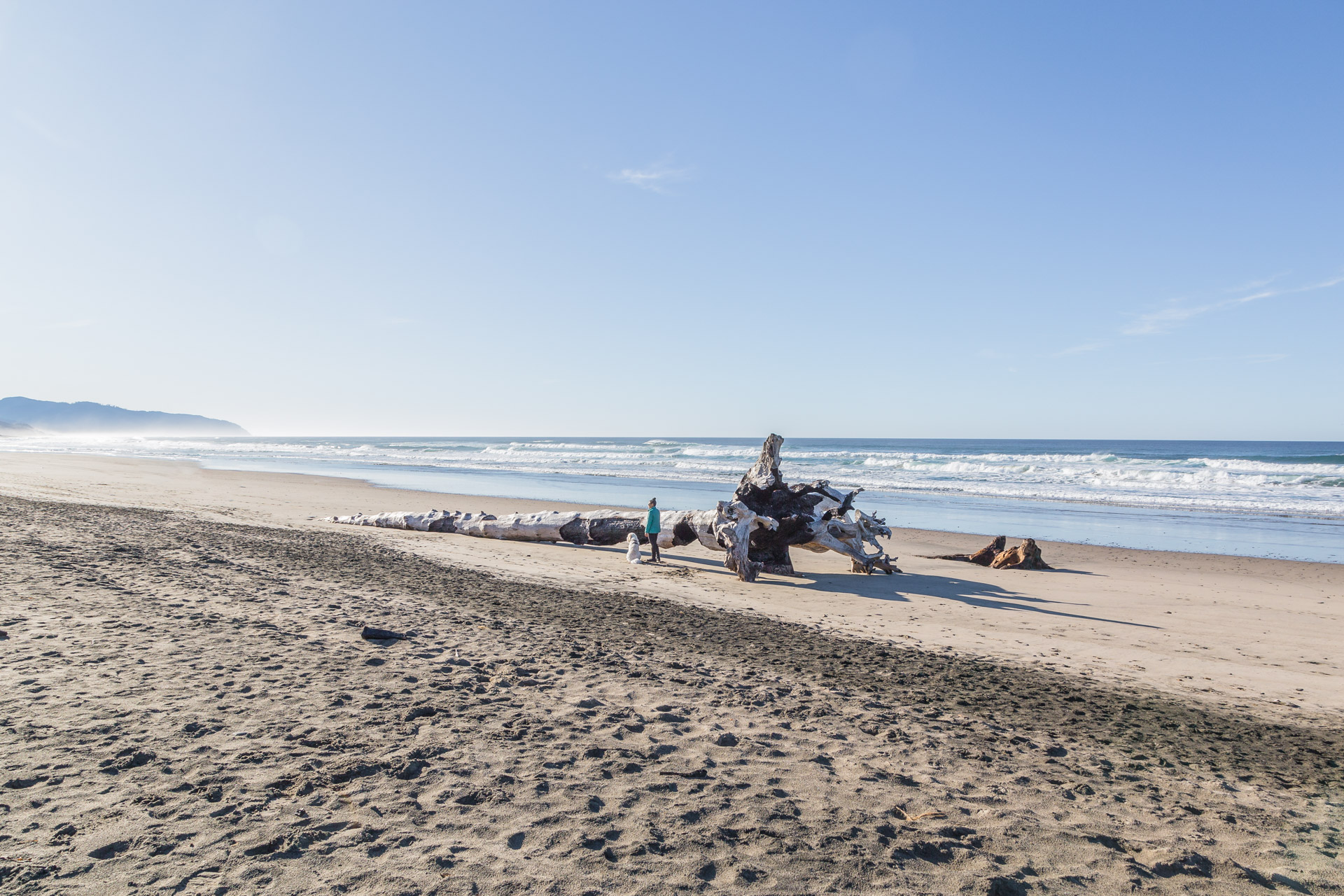 Cape Kiwanda (15)