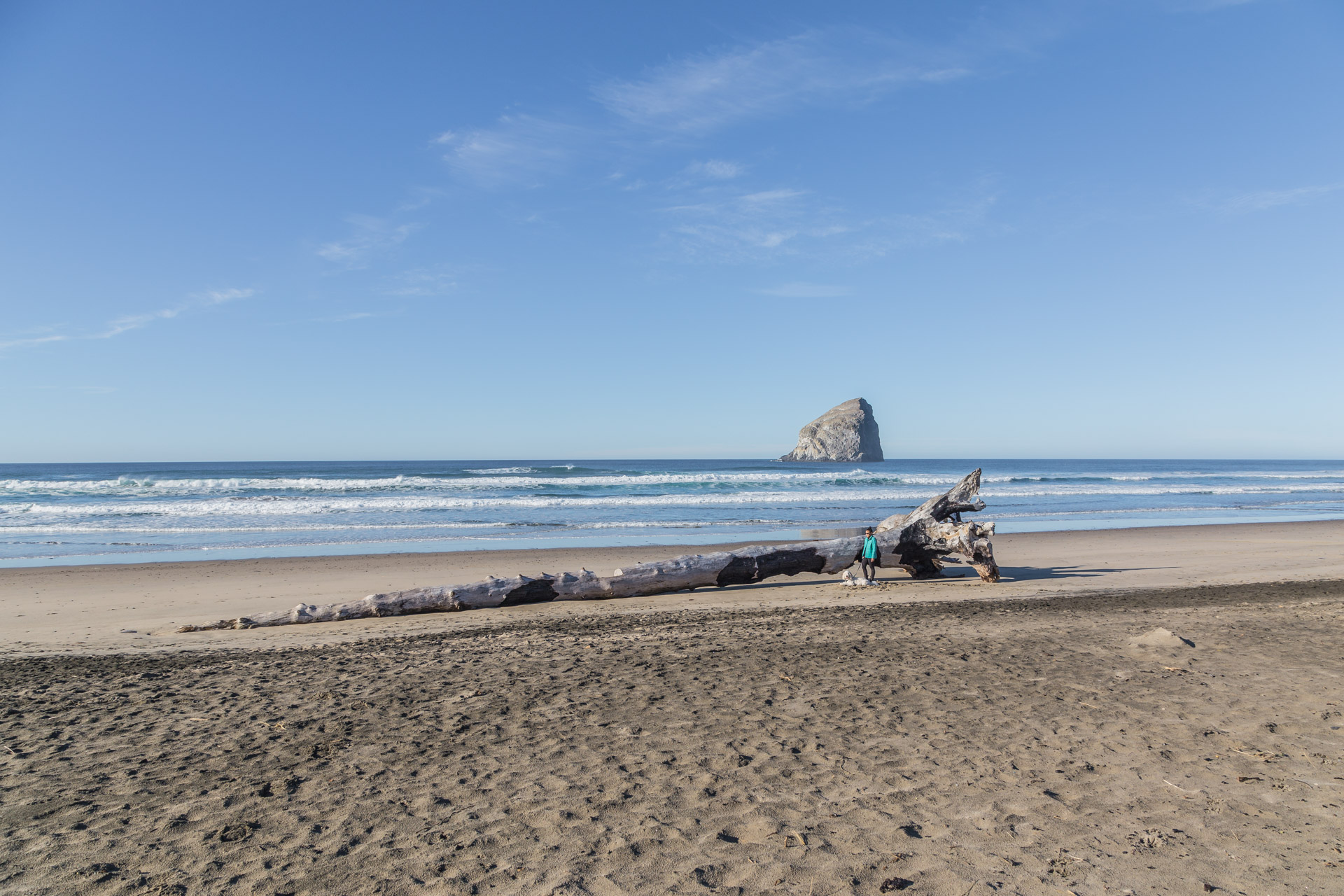 Cape Kiwanda (18)