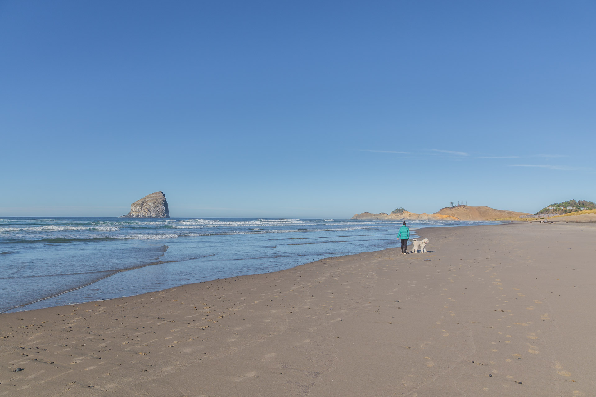 Cape Kiwanda (24)