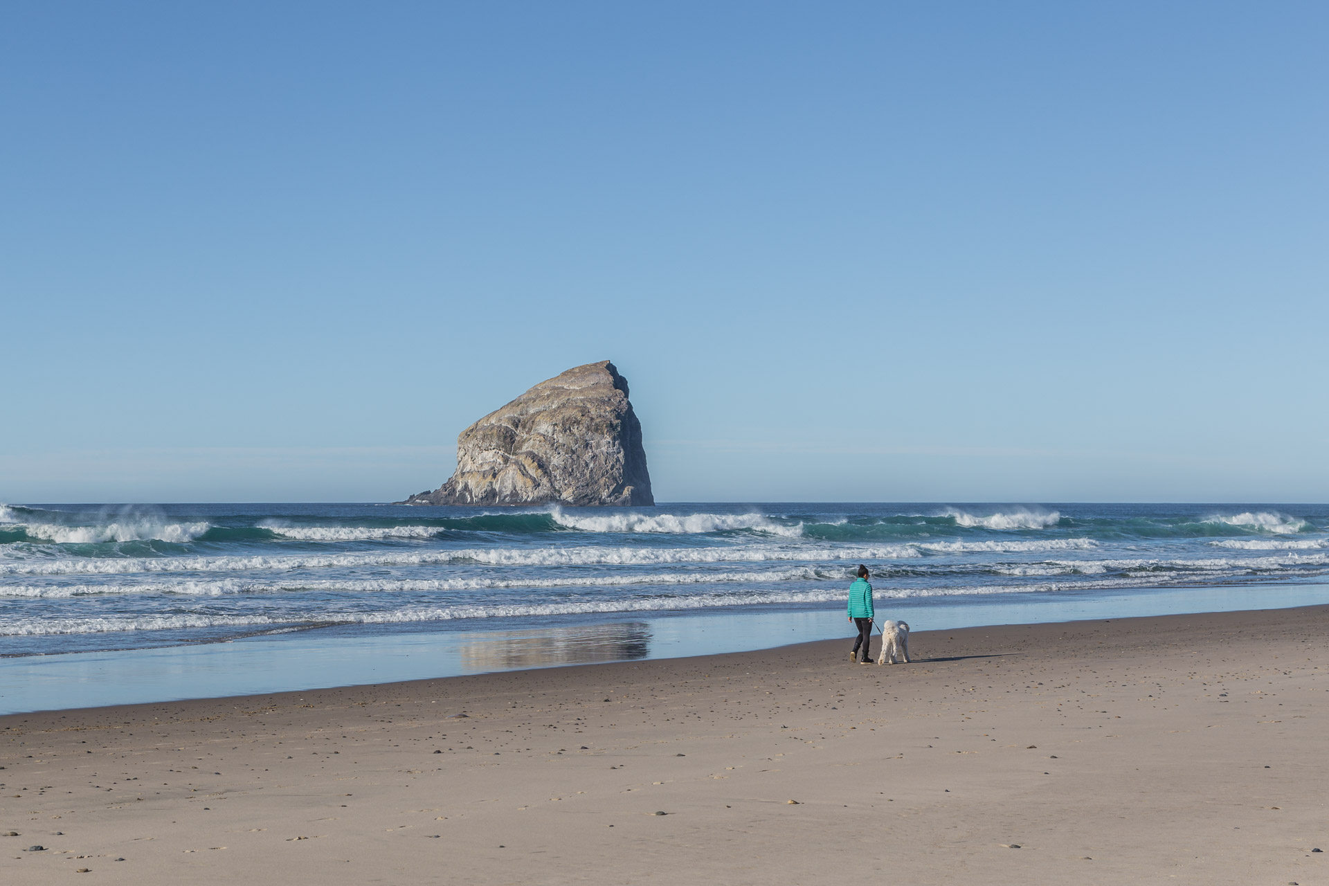 Cape Kiwanda (25)