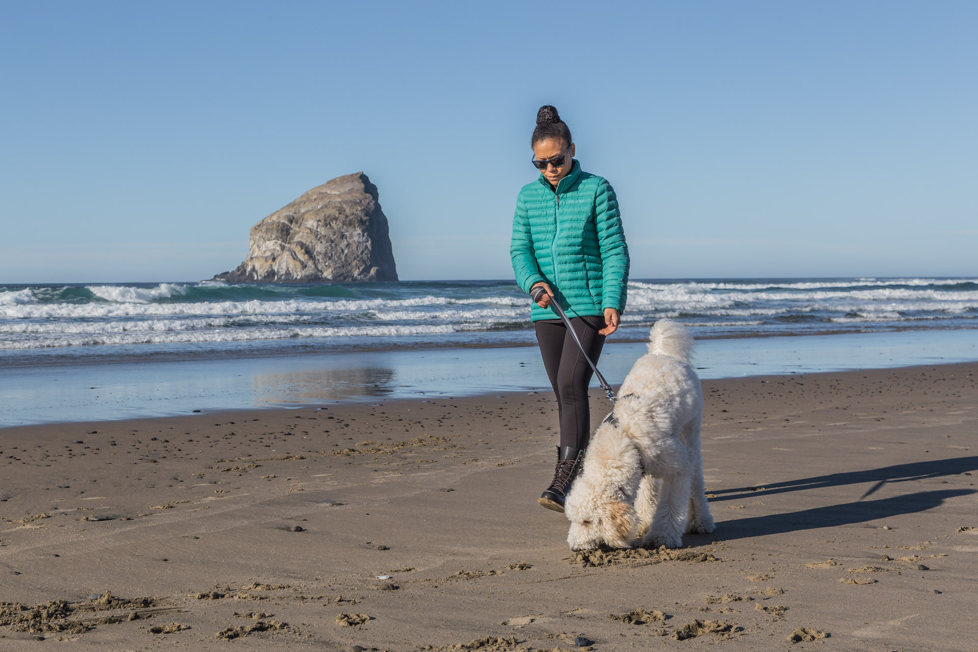 Cape Kiwanda (31)