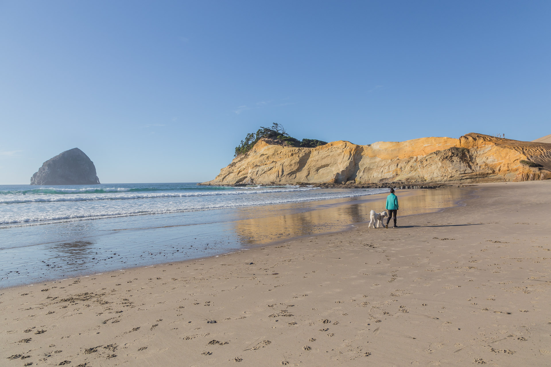 Cape Kiwanda (44)