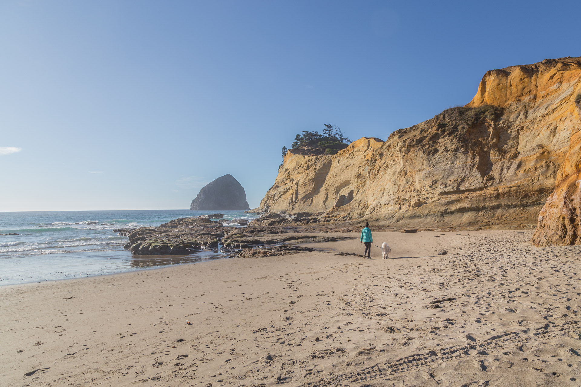 Cape Kiwanda (48)