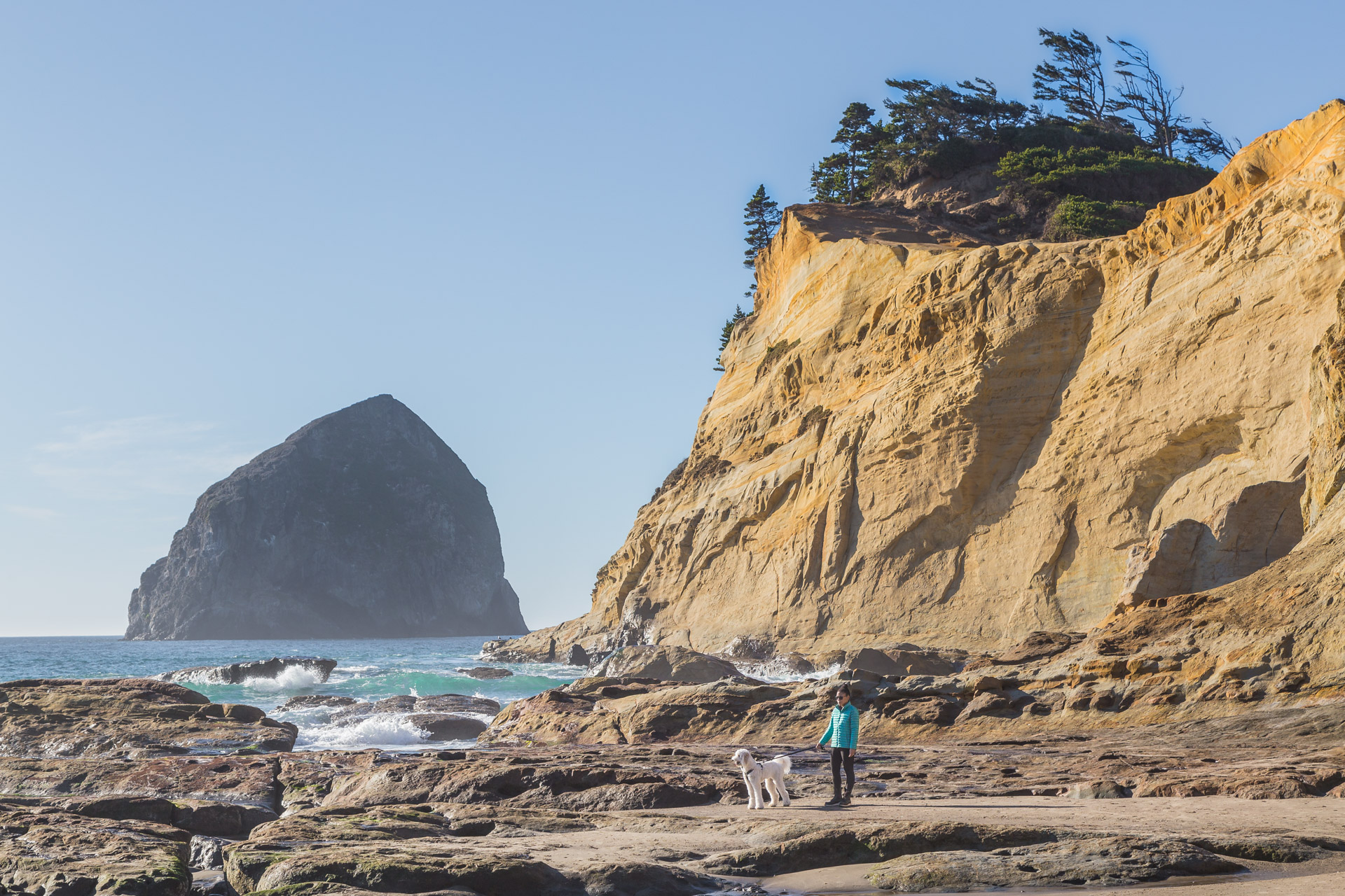 Cape Kiwanda (49)