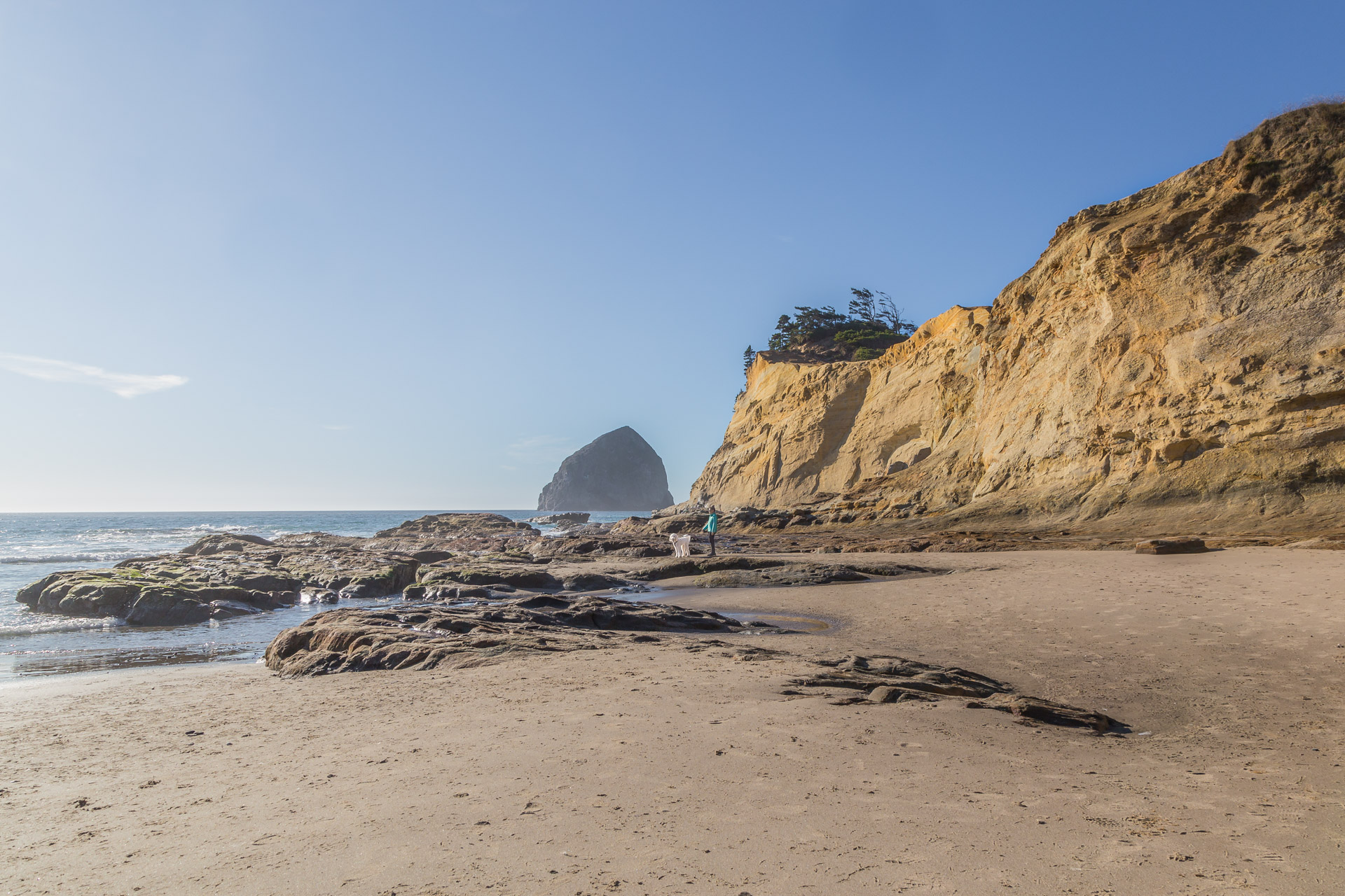 Cape Kiwanda (51)