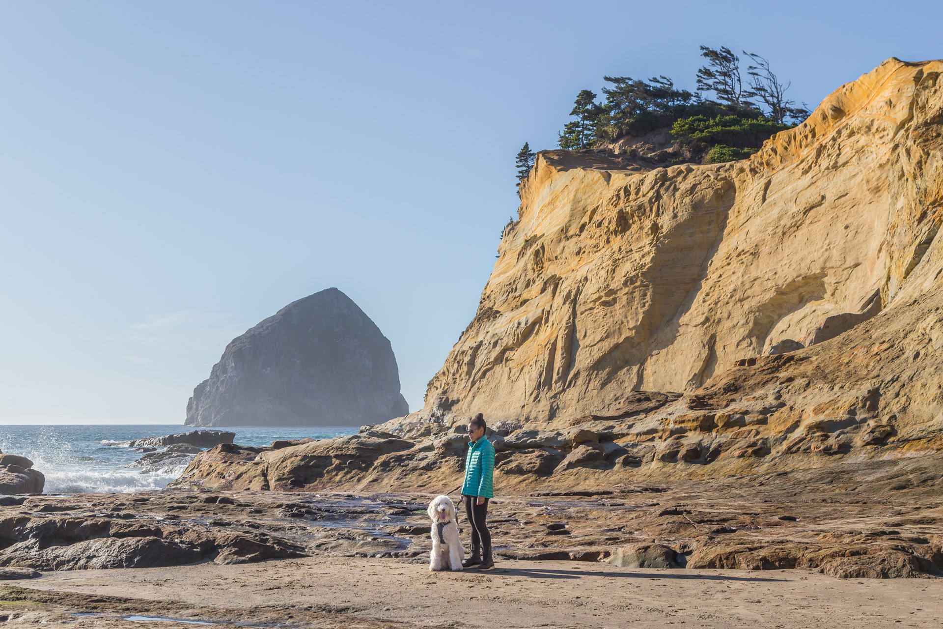 Cape Kiwanda (53)