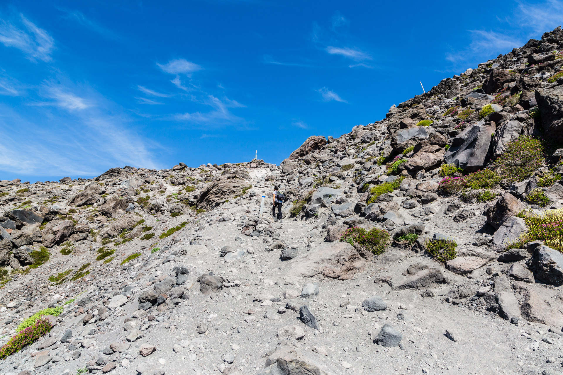 Mt St Helens (12)