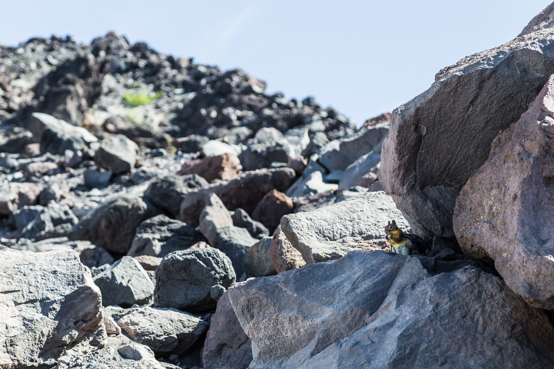 Mt St Helens (19)