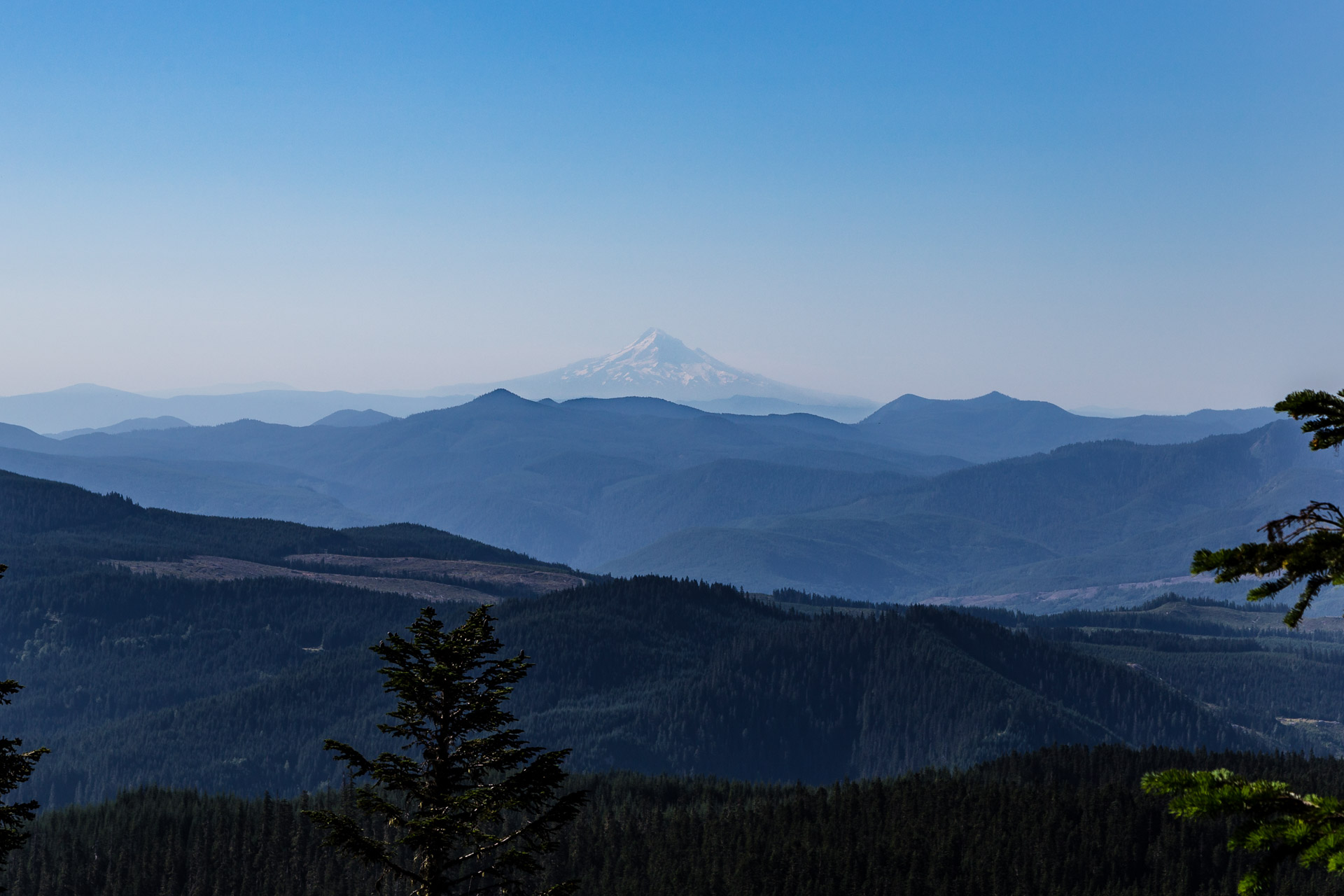 Mt St Helens (6)