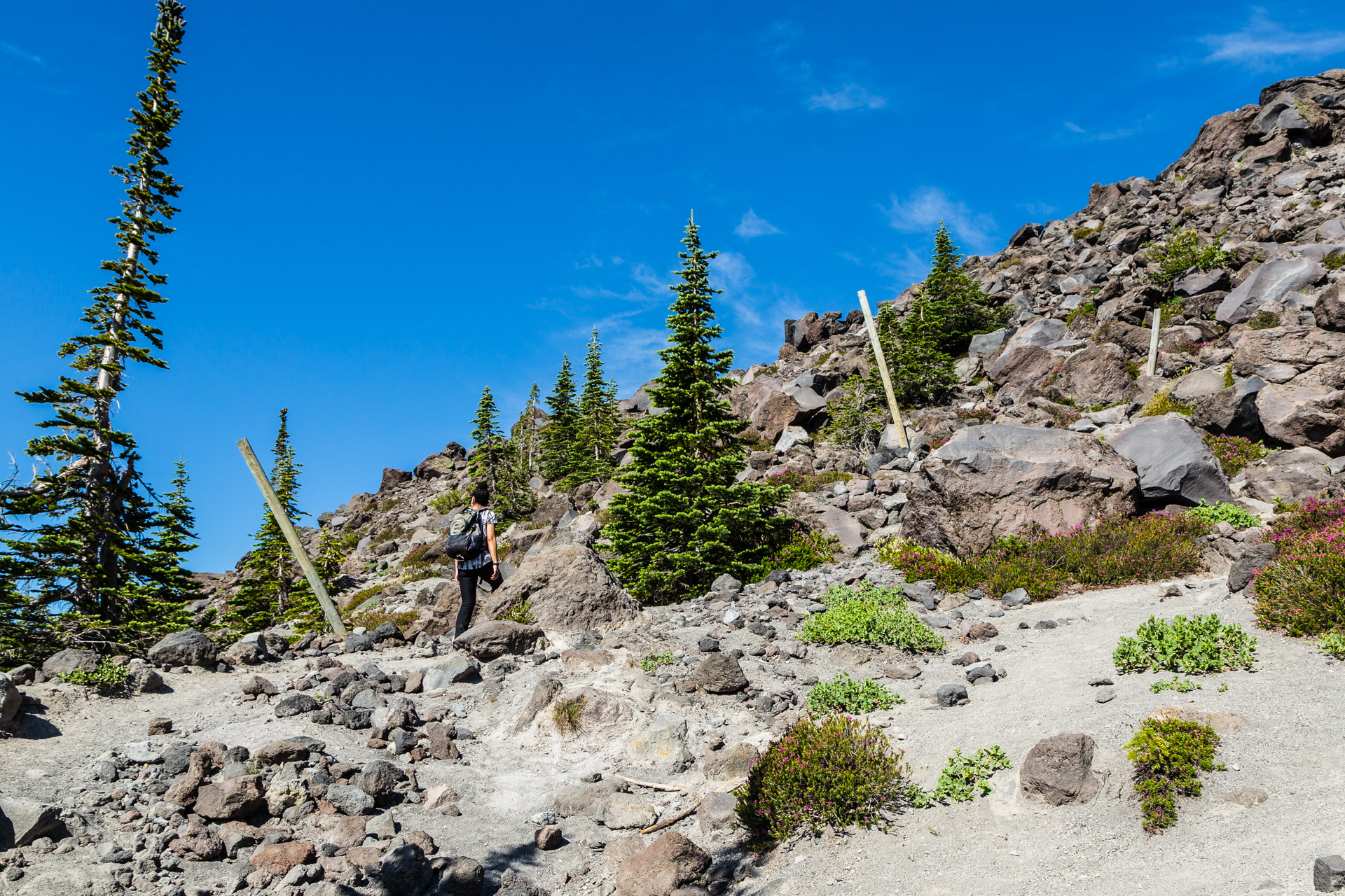 Mt St Helens (7)