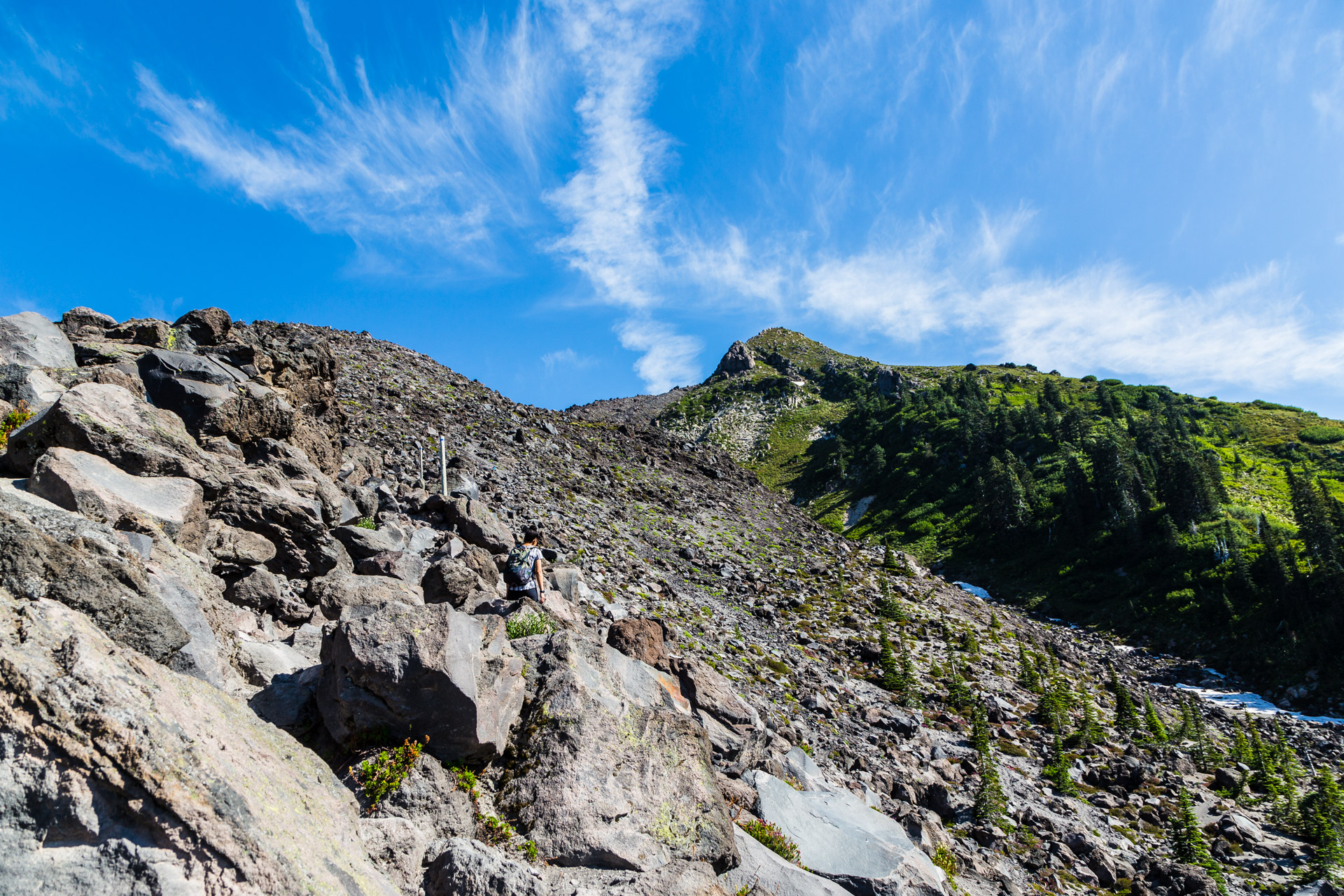 Mt St Helens (9)