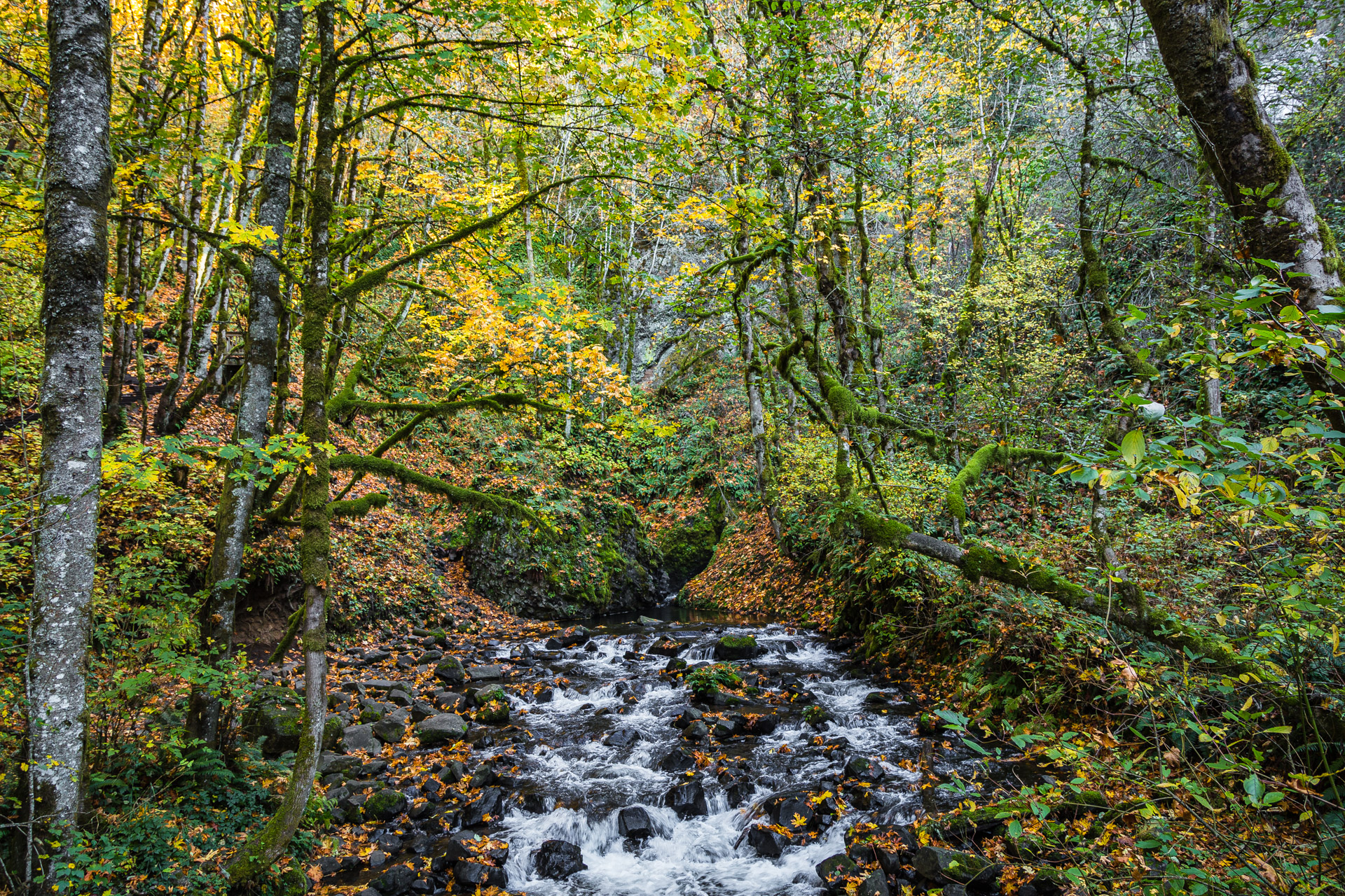 Columbia River Gorge (15)