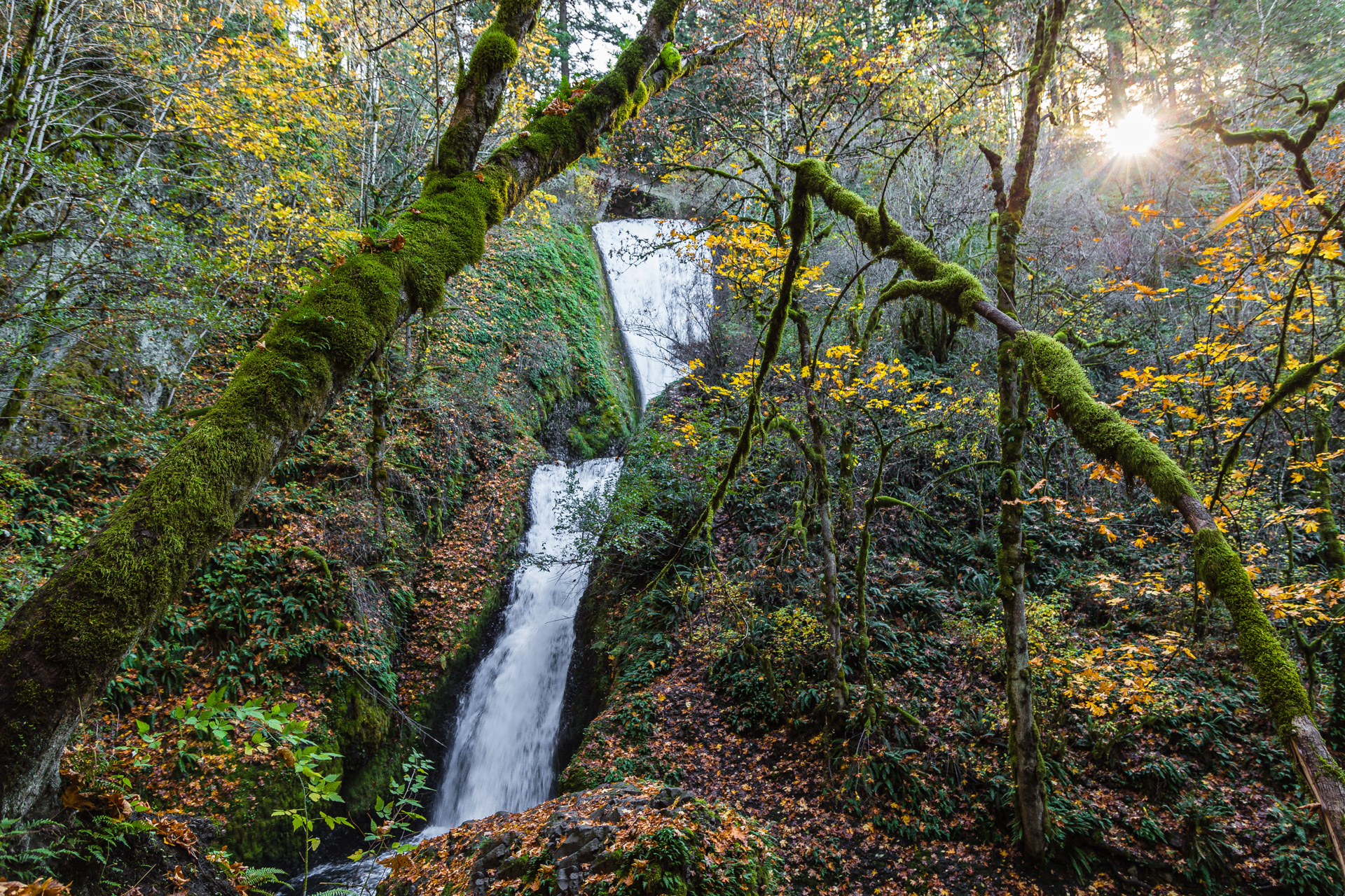 Columbia River Gorge (17)