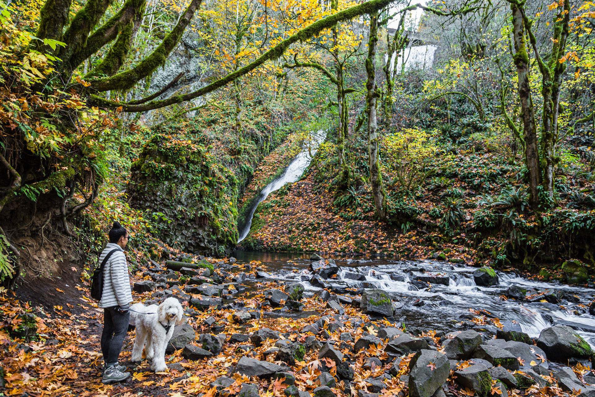 Columbia River Gorge (20)