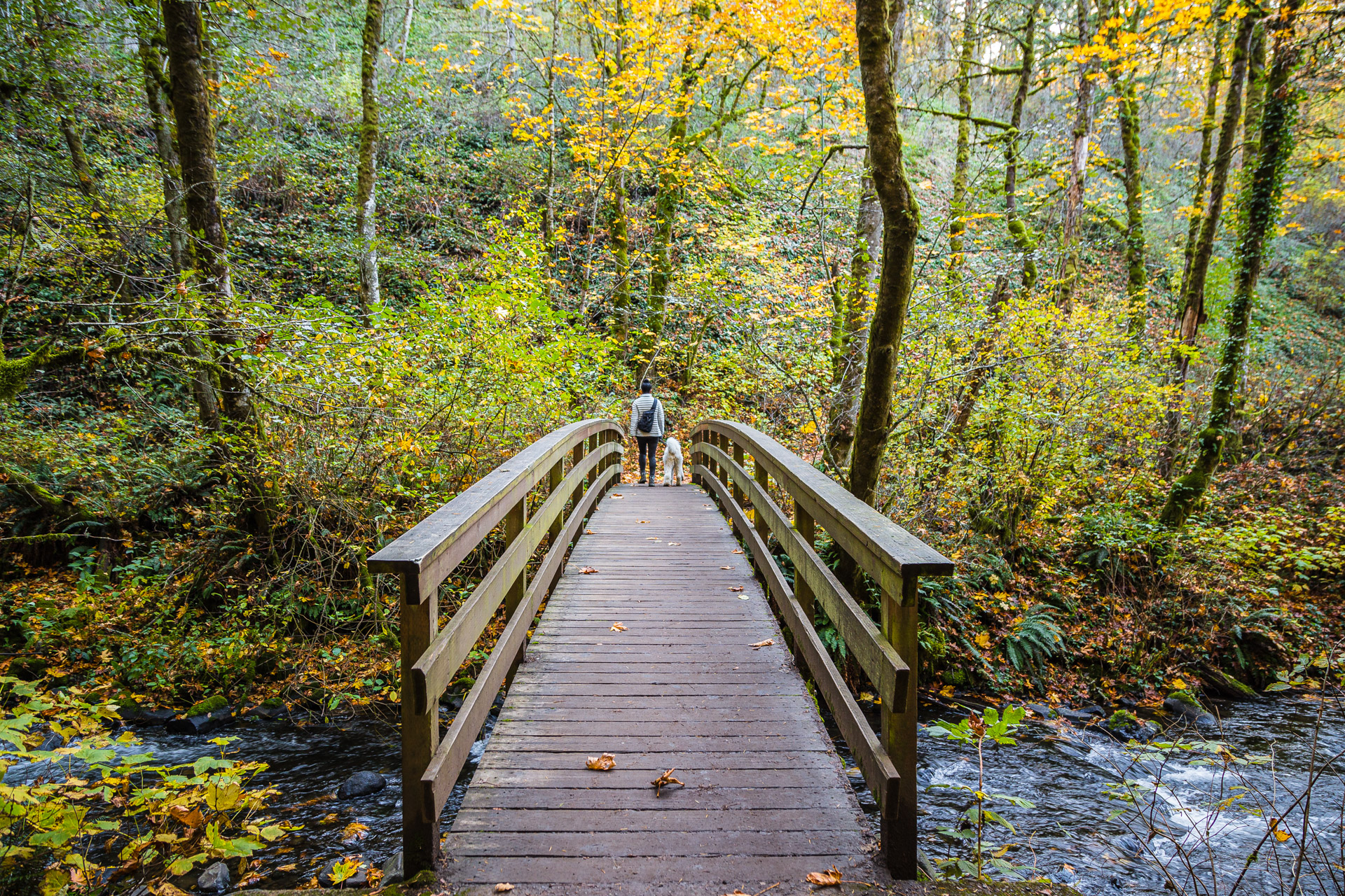 Columbia River Gorge (22)