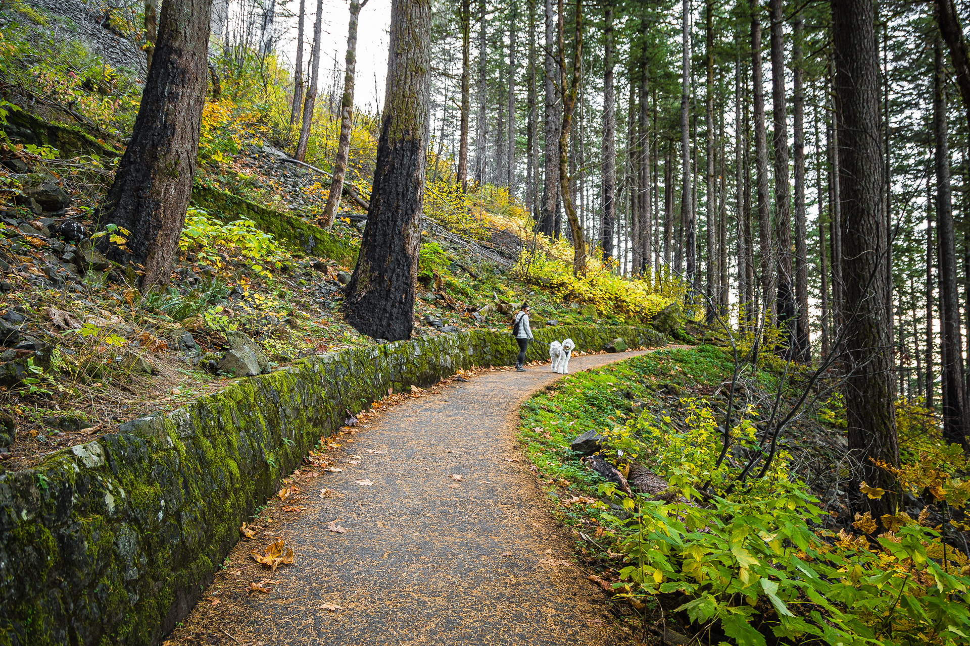 Columbia River Gorge (24)