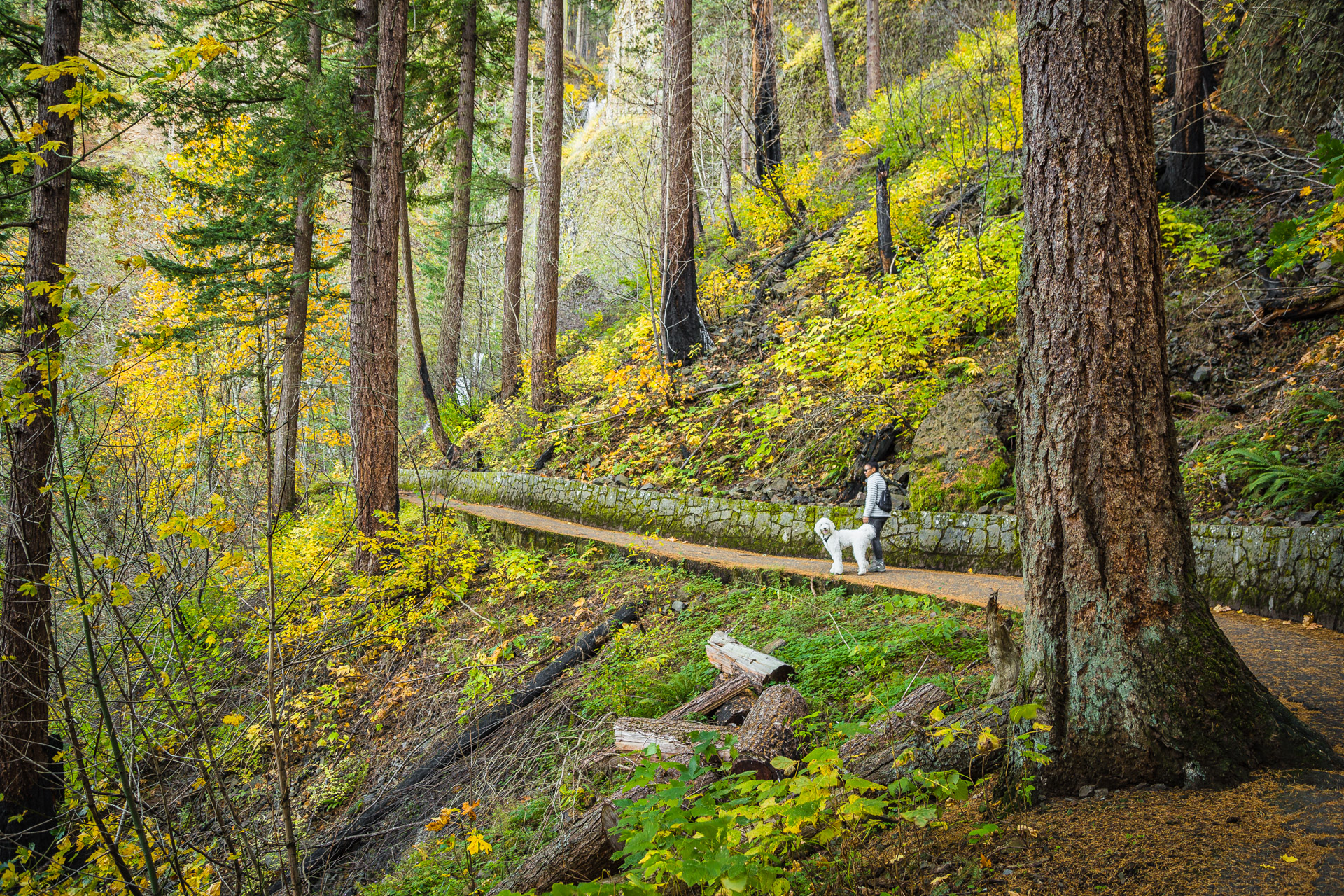 Columbia River Gorge (26)