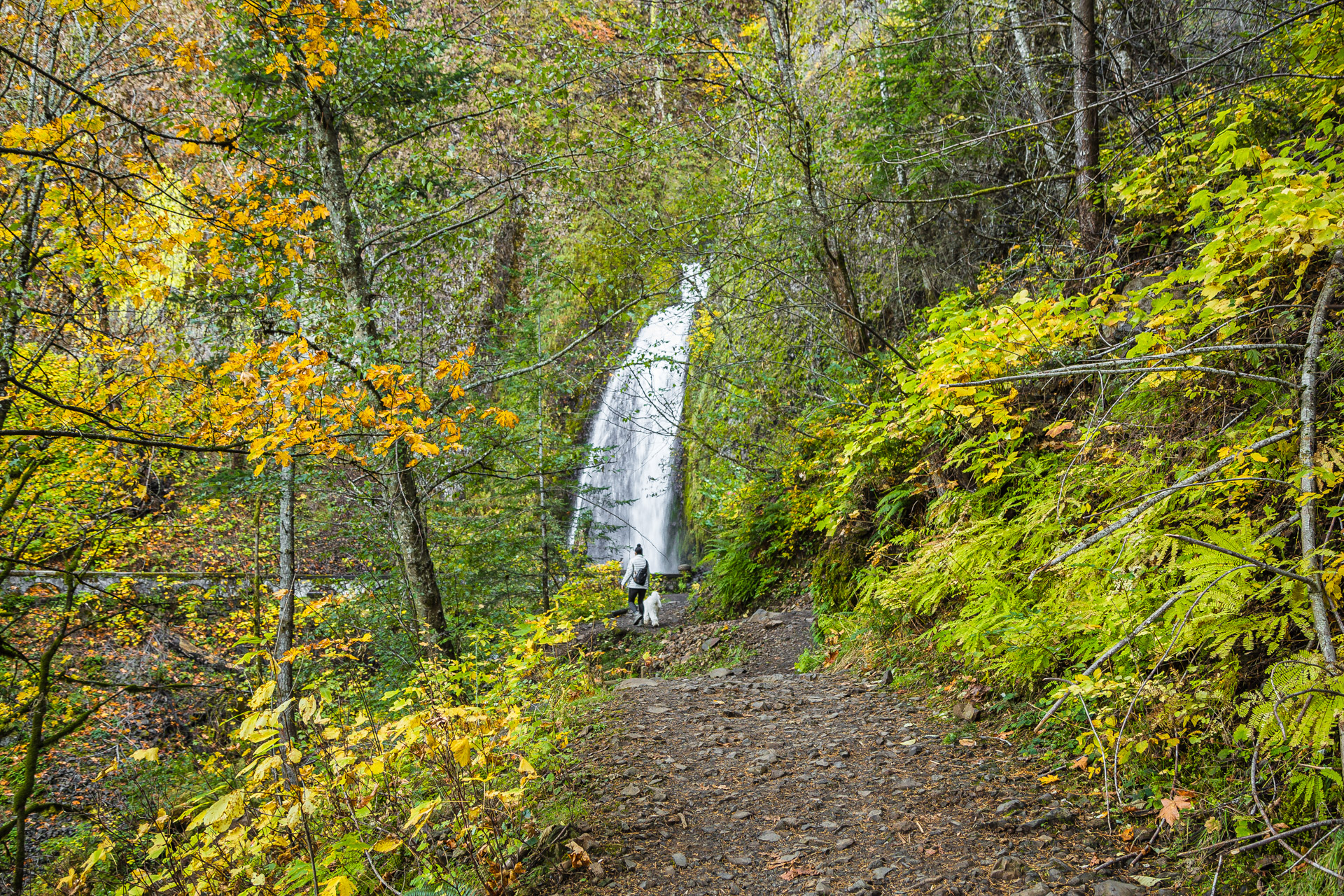 Columbia River Gorge (27)