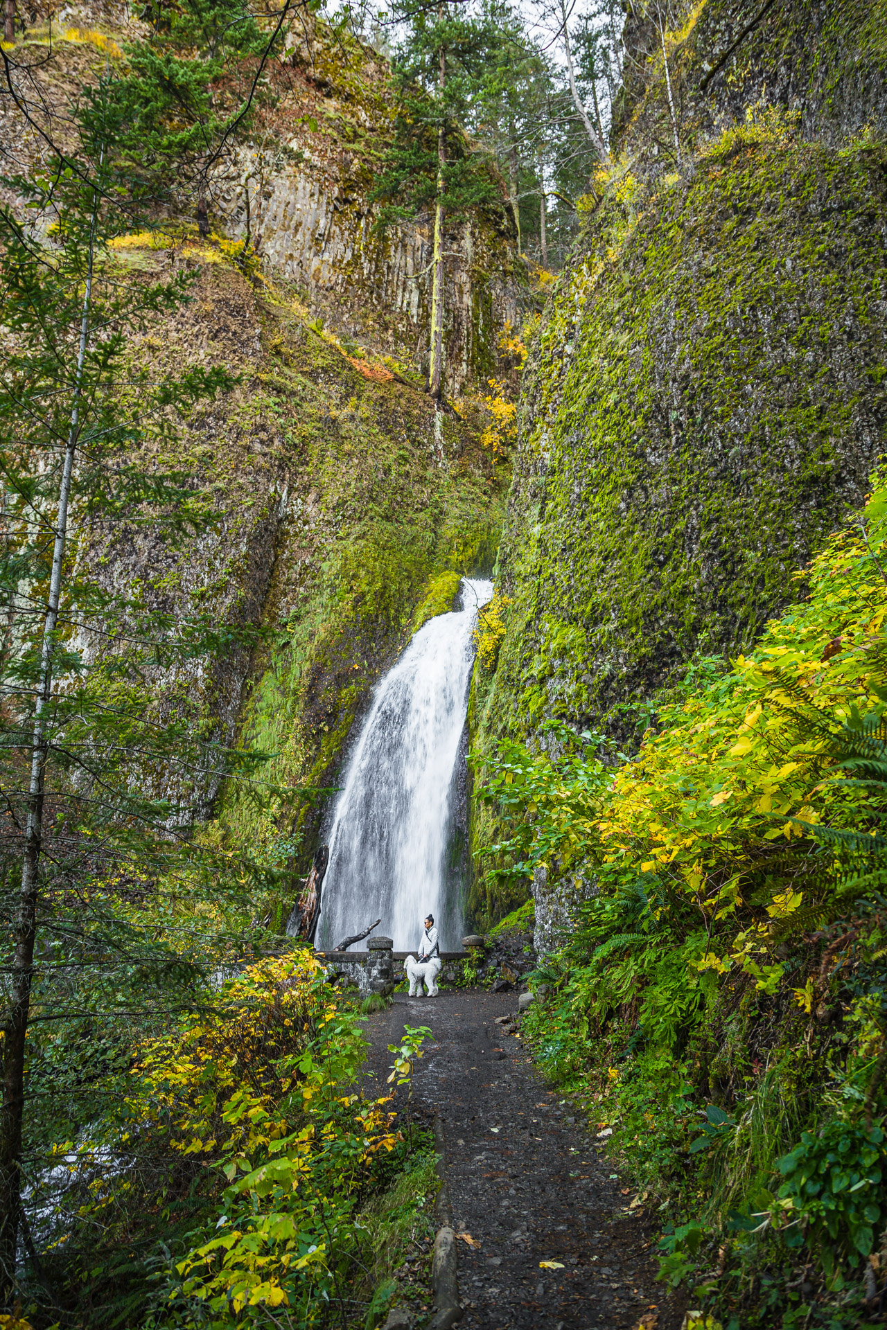 Columbia River Gorge (30)