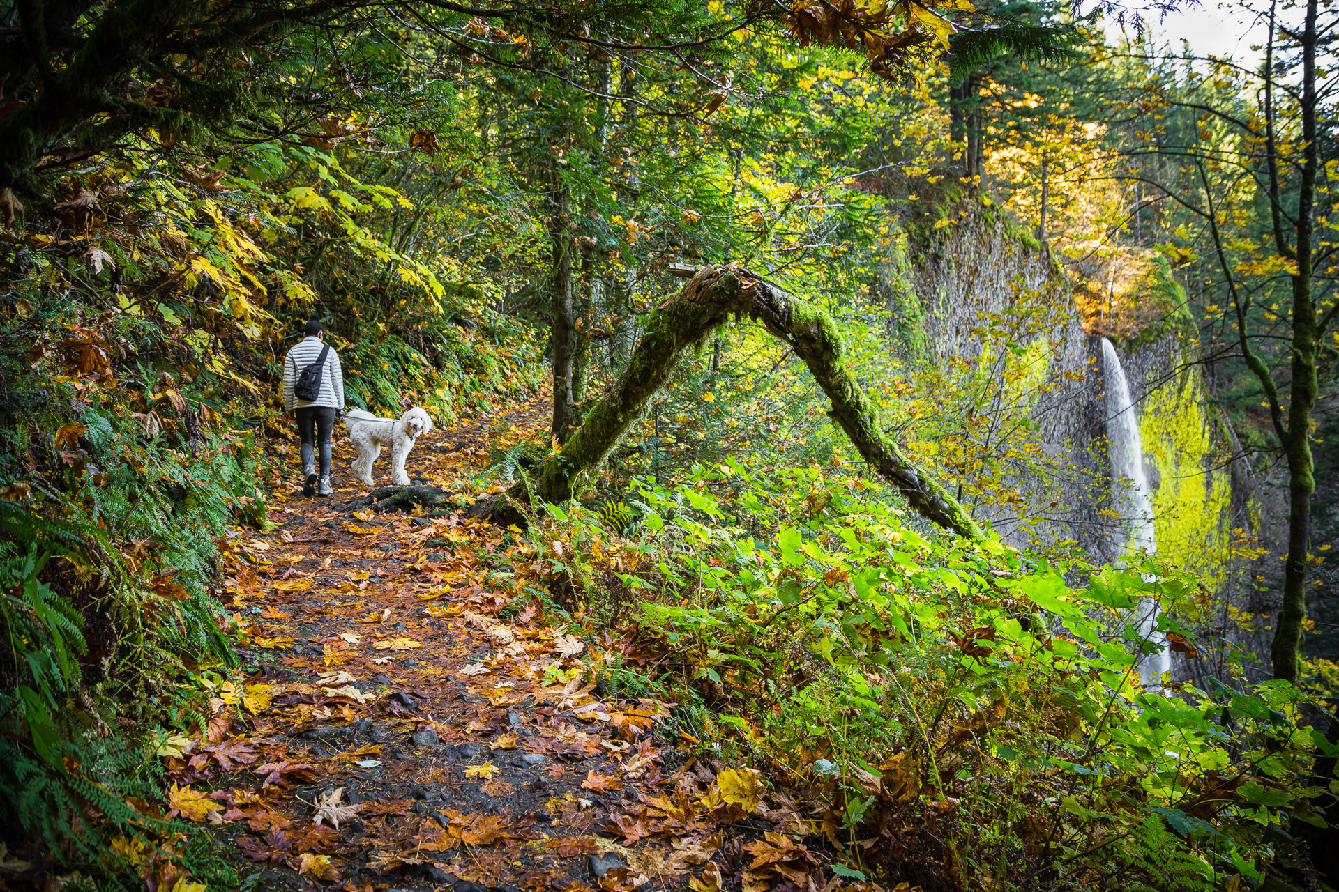 Columbia River Gorge (4)