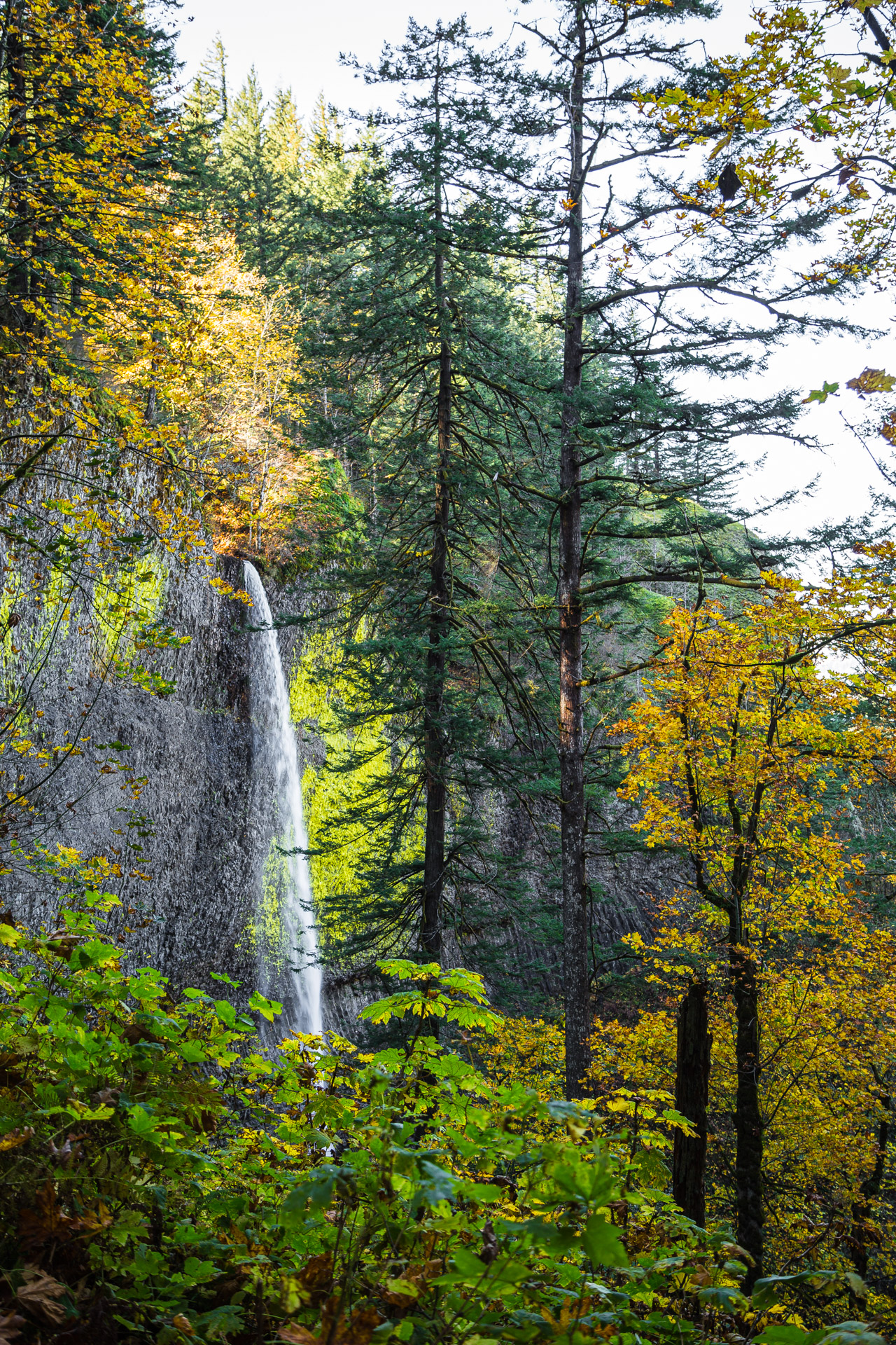 Columbia River Gorge (6)