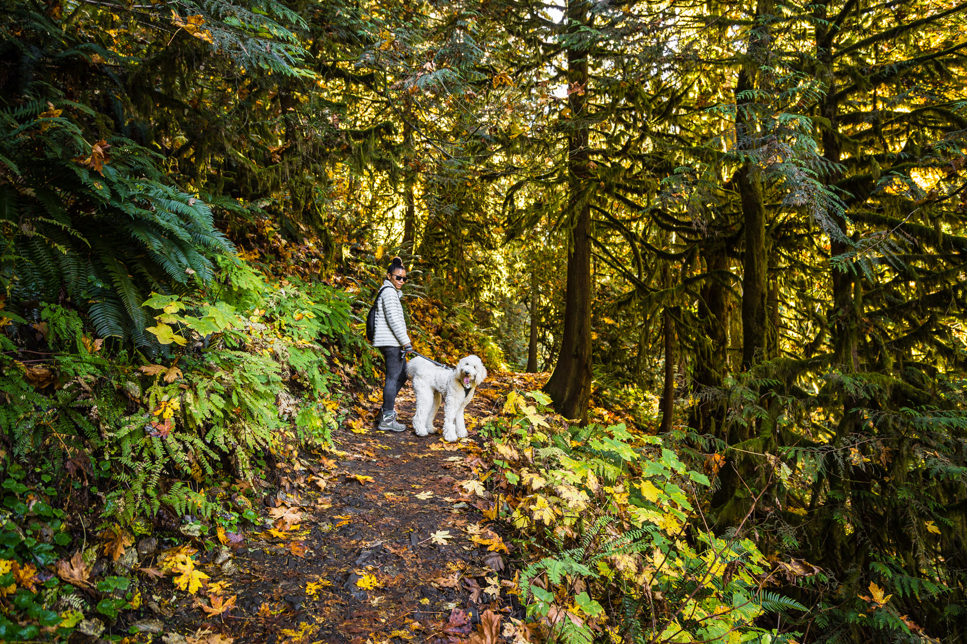 Columbia River Gorge (7)