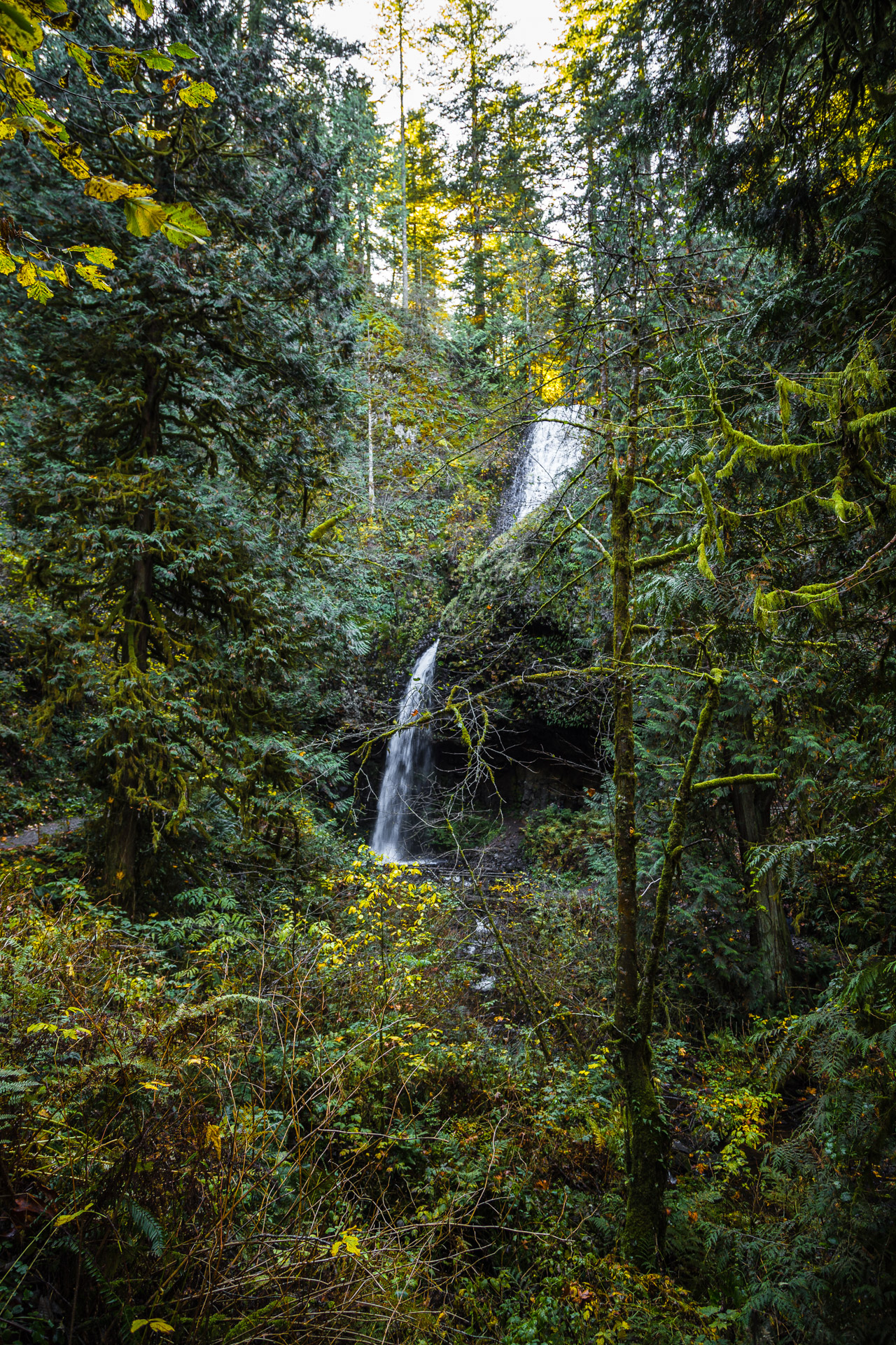 Columbia River Gorge (8)