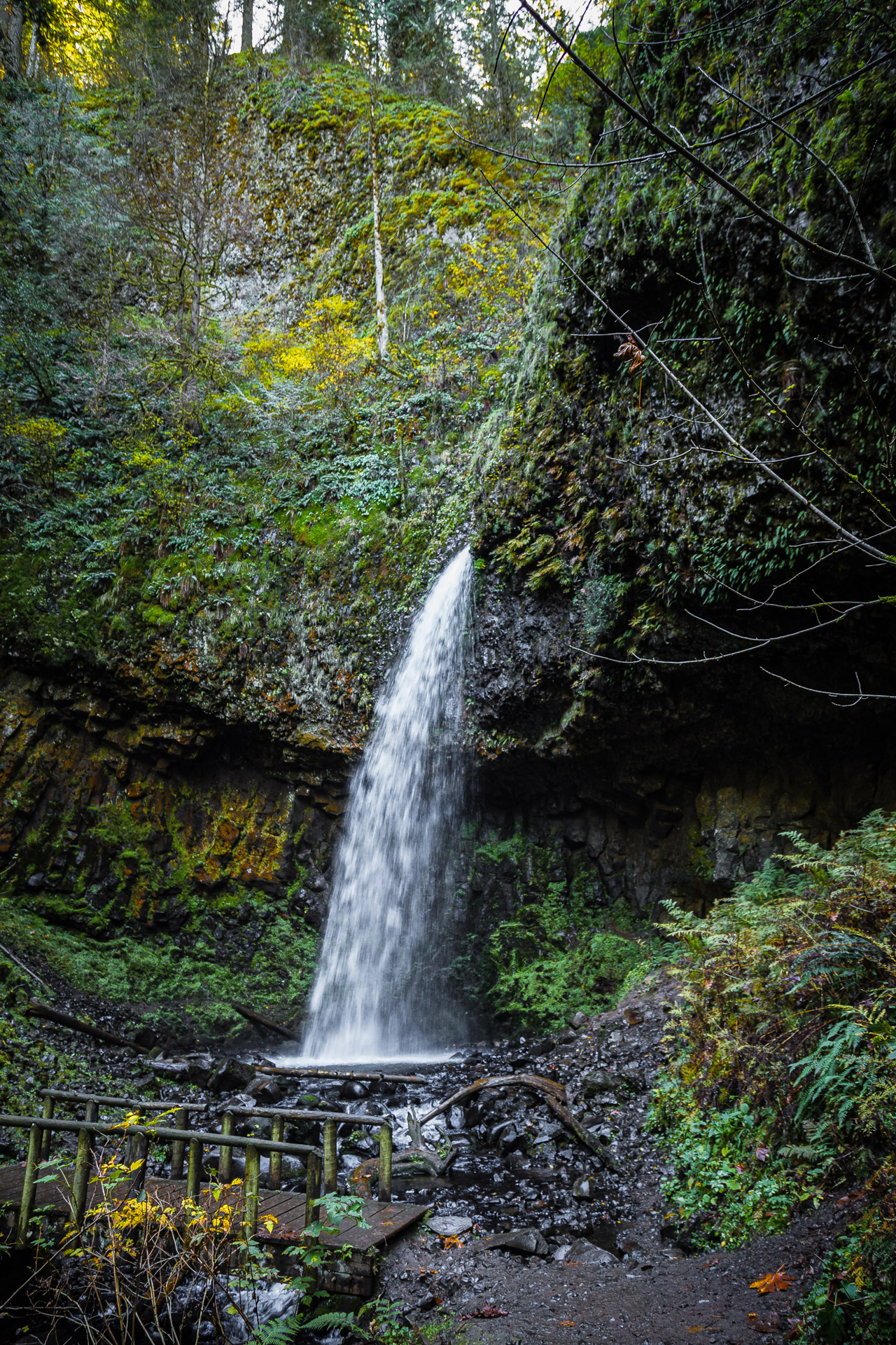 Columbia River Gorge (9)