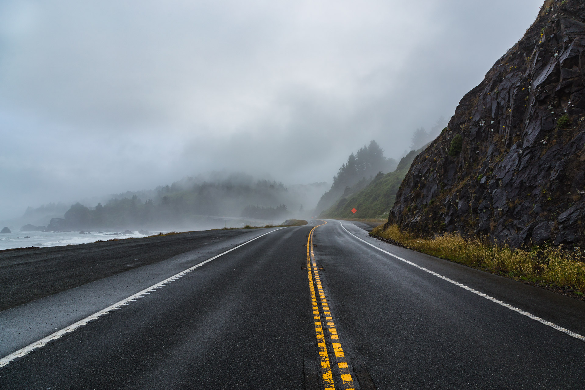 Diverse Views On One Road In The Redwoods