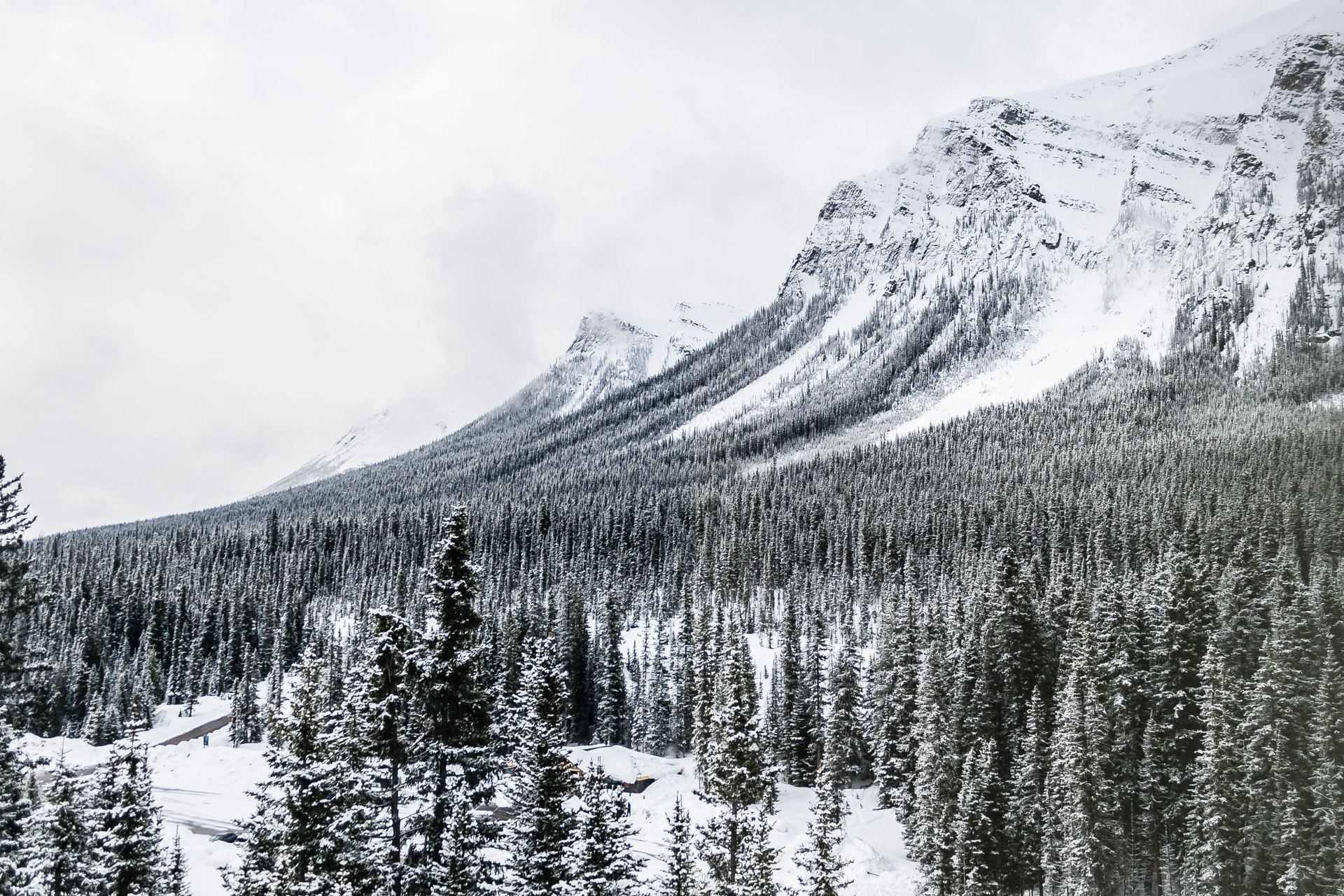 Dreaming Of Snow (window mountains)