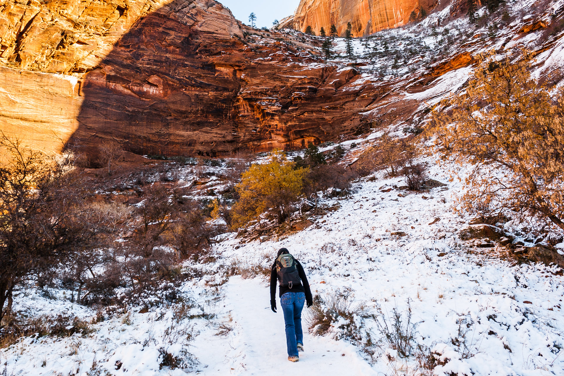 Flashback Trip: A Winter Hike At Zion
