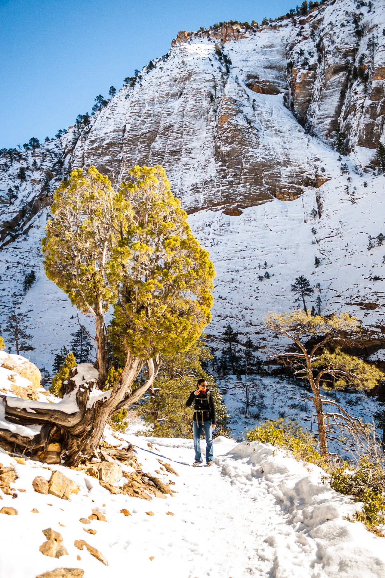 Winter Zion (12)